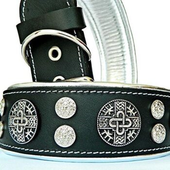 Genuine Leather Dog Collar, Large Breeds, Cane Corso, Rottweiler