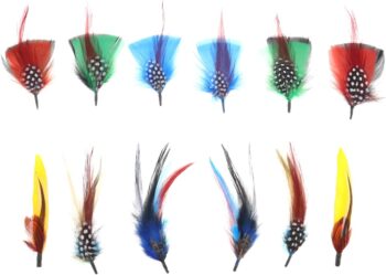 12Pcs Hat Feathers Real Feather Decorative Feather Natural Feather DIY