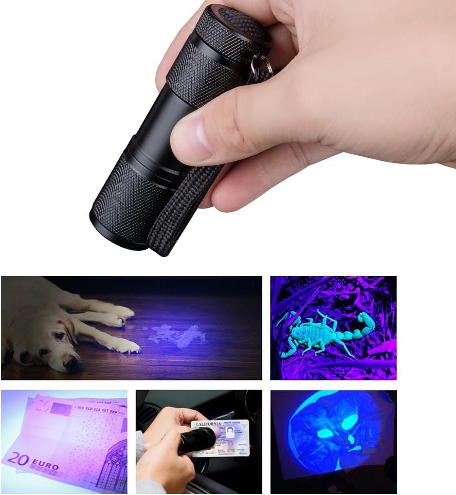 395nm Blacklight UV Flashlights, Portable 9 LED Black Light Ultraviolet Lamp - Image 2
