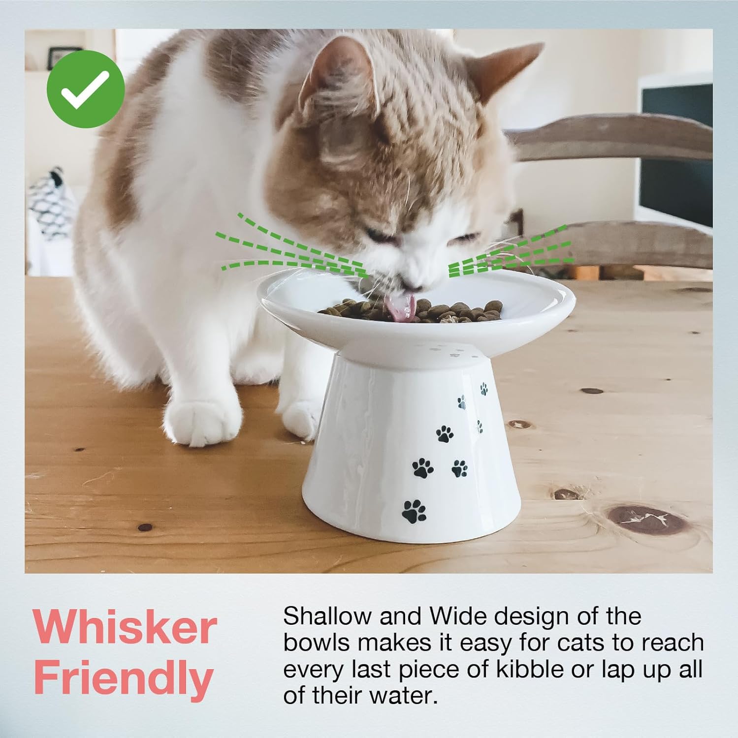 Raised Cat Food Bowl, Stress Free, Backflow Prevention, Dishwasher and Microwave - Image 3