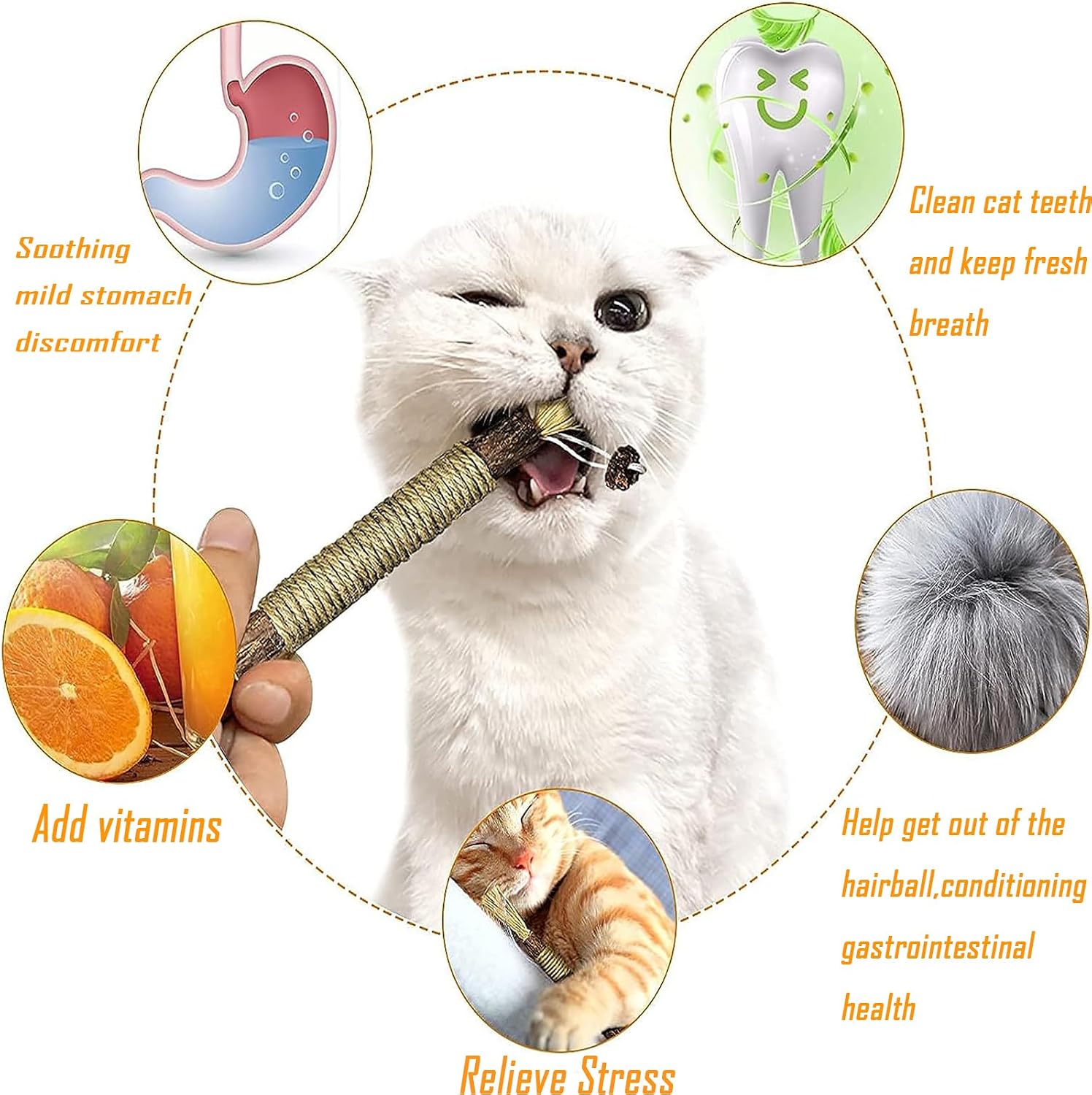 6 PCS Natural Silver Vine Sticks Cat Toys,Cat Snacks Sticks,Catnip Cat Chew Toys - Image 5