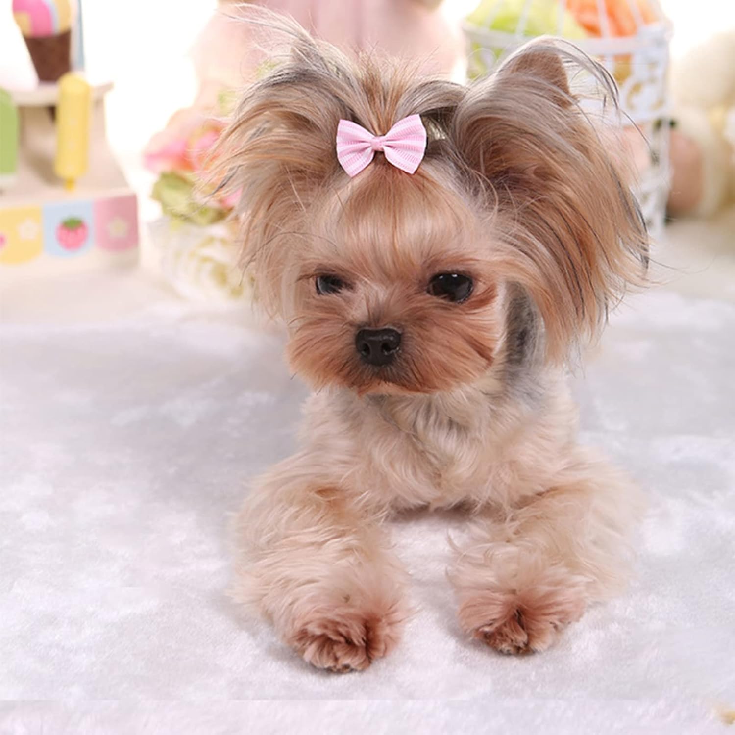 Pet Hair Clips, Bowknot Bows Dots Pet Hair Clips for Dog Cats Puppy,Random - Image 4