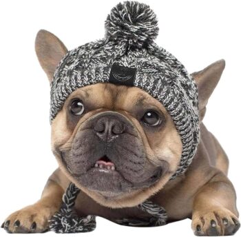 Winter Soft Dog Hats, Warm Pet Dog Knitted Hat, Windproof Knitting French