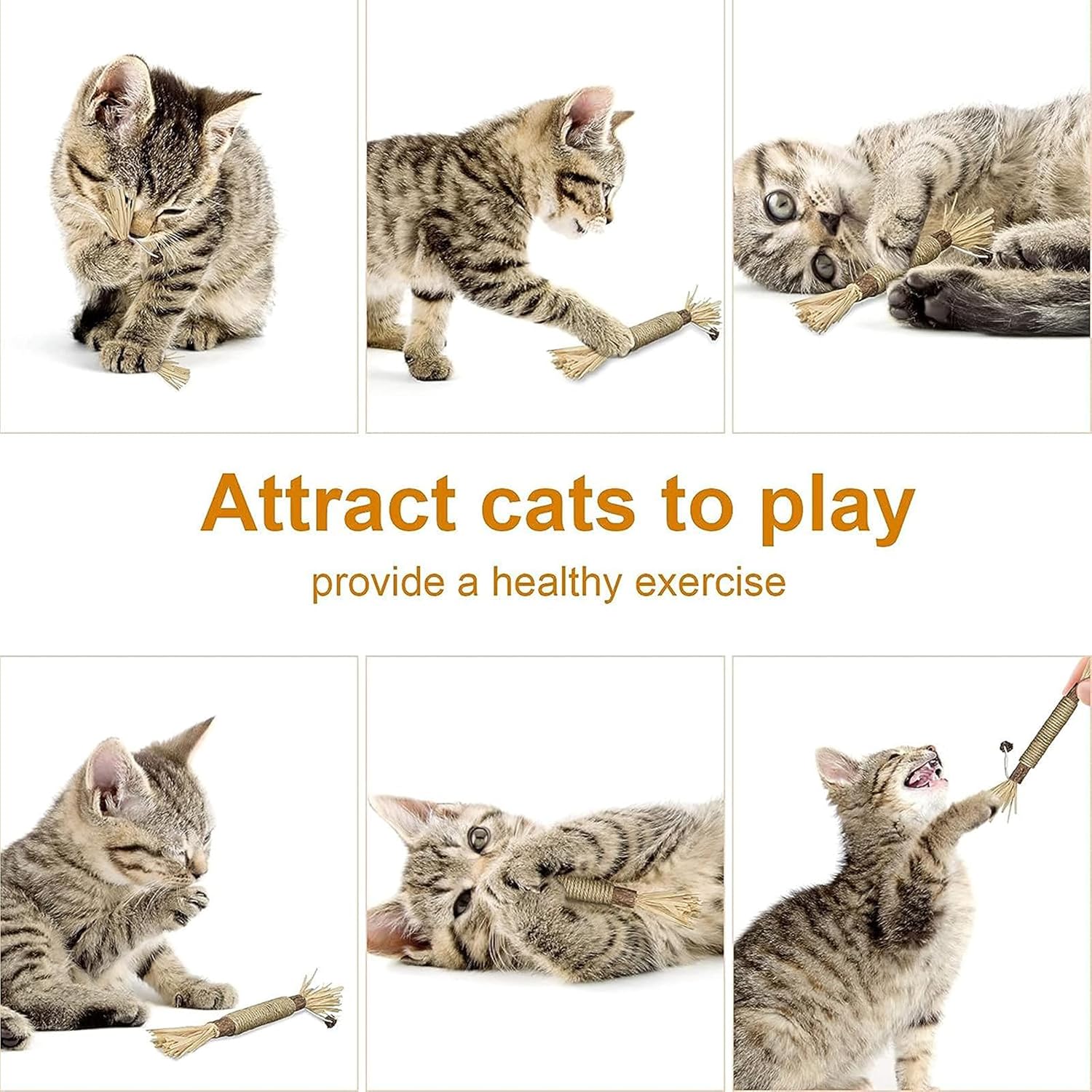 6 PCS Natural Silver Vine Sticks Cat Toys,Cat Snacks Sticks,Catnip Cat Chew Toys - Image 7