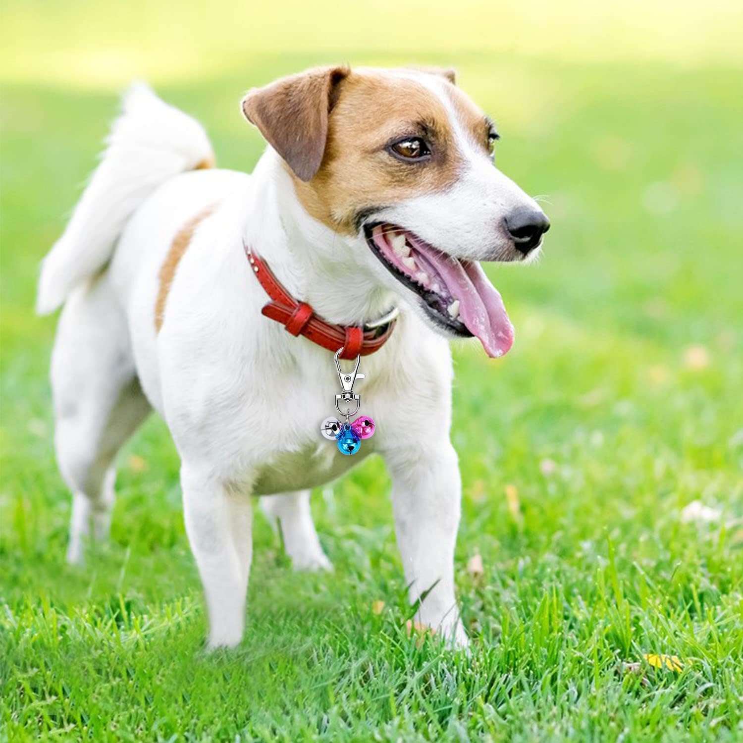 Cat Collar Bells Loud Dog Bell Training Charm Pendants for Pet Puppy Kitty - Image 3