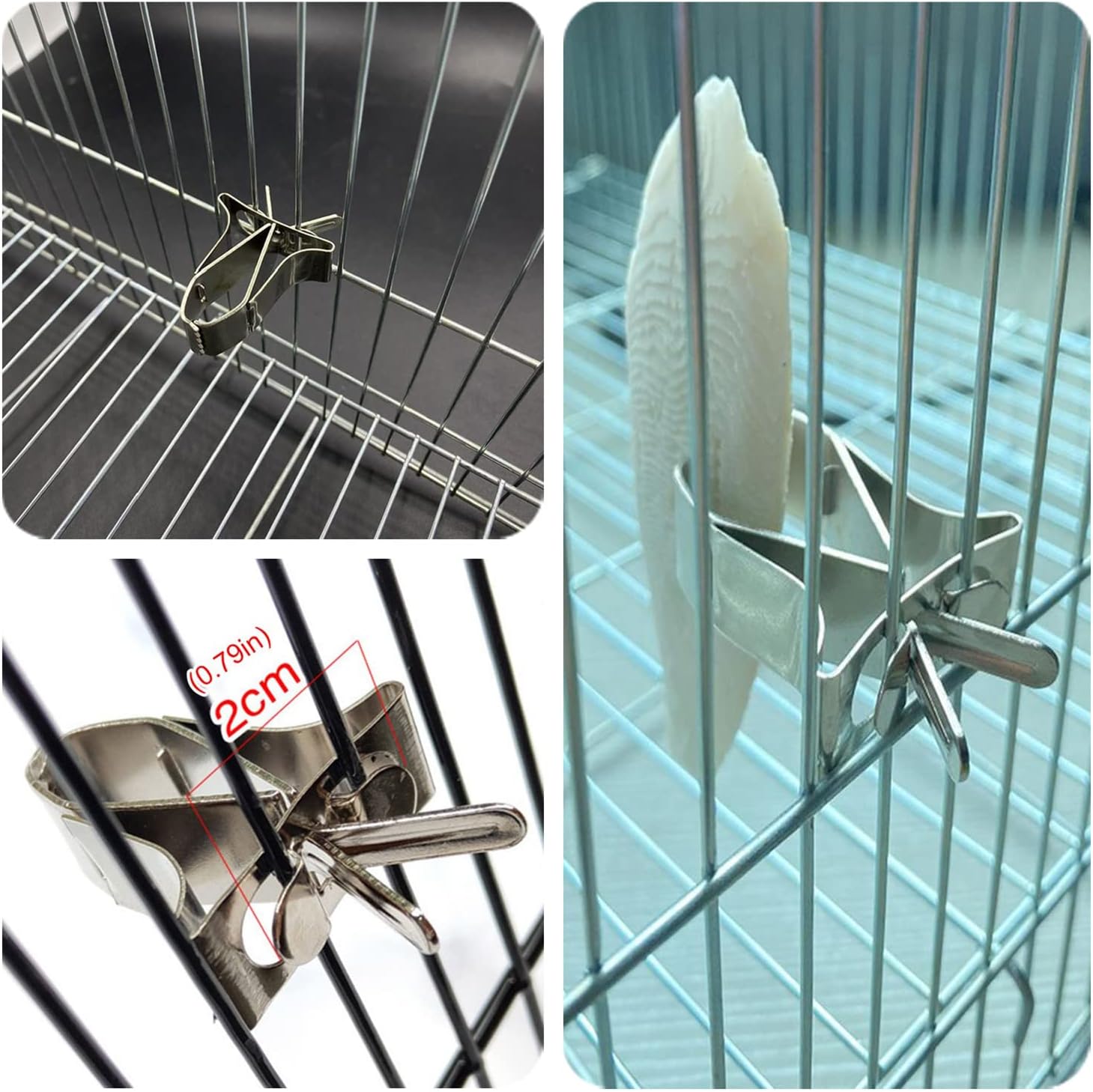 6 Pcs Bird Cage Food Holder Bird Feeder Parrot Fruit Vegtable Clips Feeder Bird - Image 5
