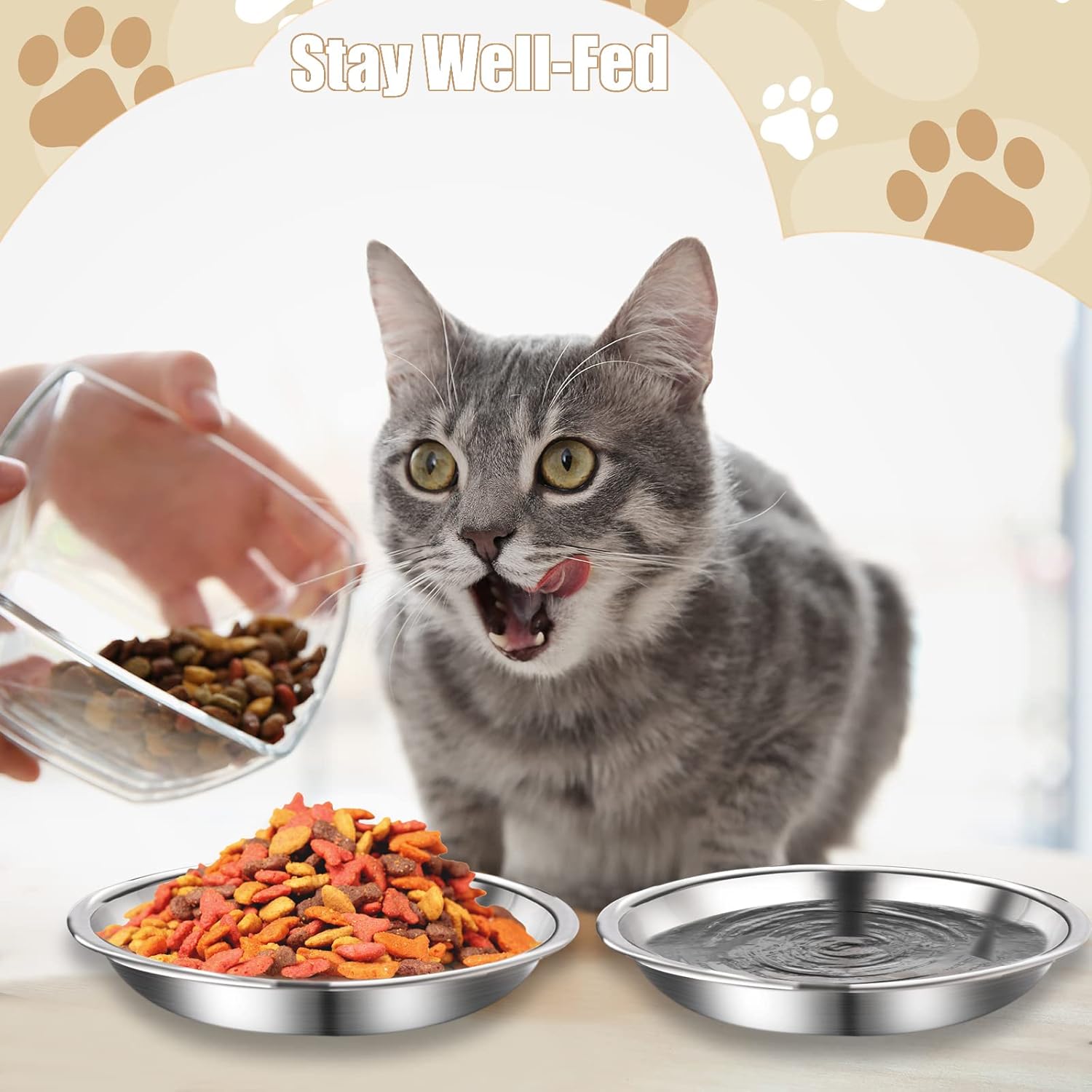 12 Pcs Stainless Steel Cat Bowls Shallow Food Metal and Water Dish - Image 4
