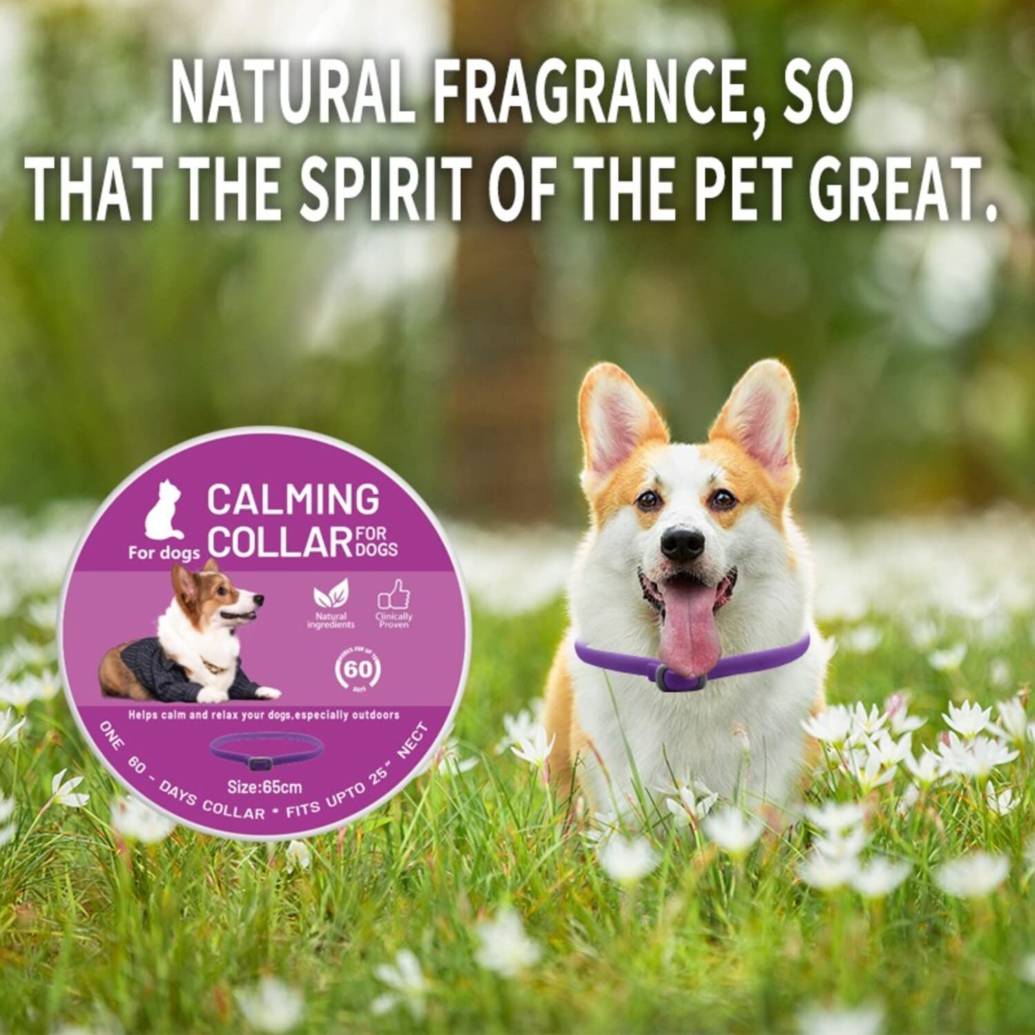 Calming Collar for Dogs Reduce Anxiety for Your Pets Pheromone Calm Collars - Image 4