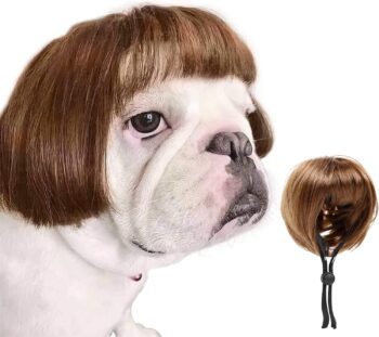 Dog Costume Cat Apparel Dog Toys Curly Braids Headgear Wigs Styling