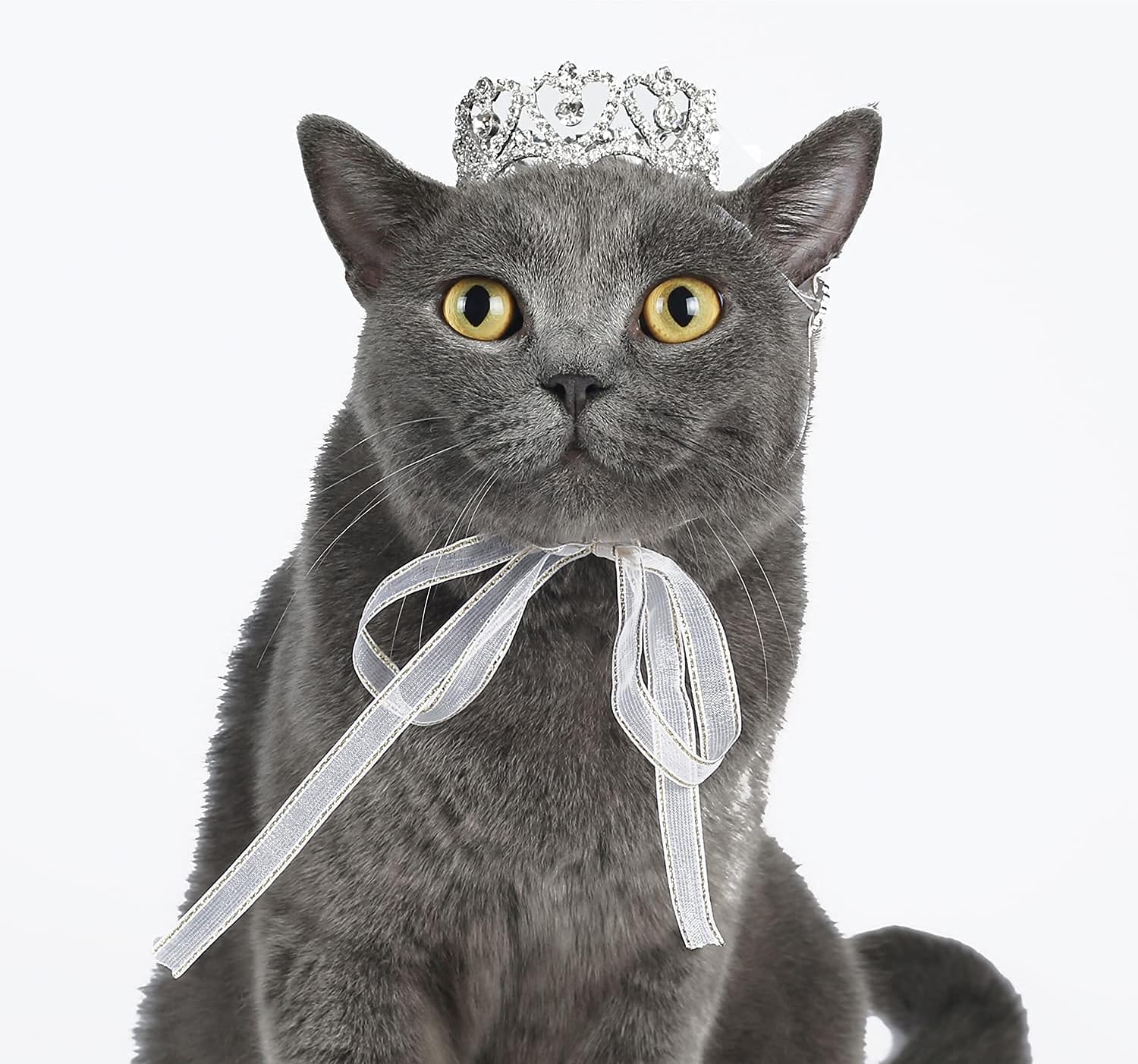 Pet Series Royal Rhinestone Full Round Dog/Cat Crown for Costume Small Dog Hair
