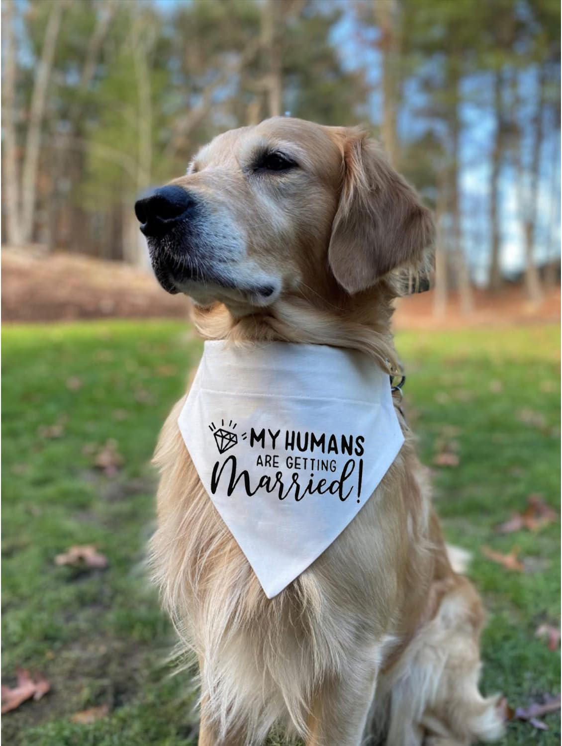 My Humans are Getting Married Dog Bandana, Engagement Dog Bandana, Pet Scarf - Image 4