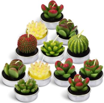 Cactus Candles Tealight Smokeless Handmade Cute Mini Plants Gift Set Plant 12