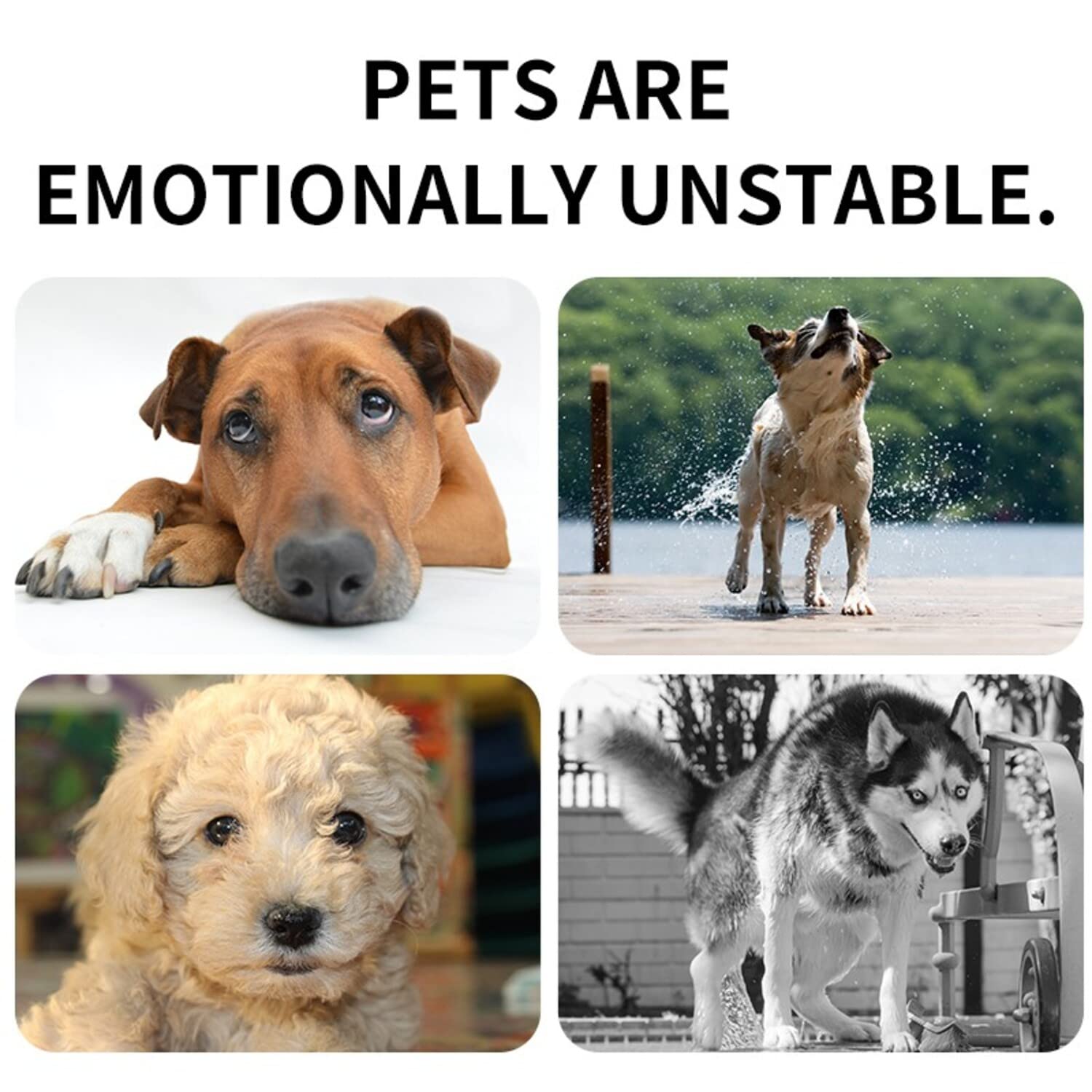 Calming Collar for Dogs Reduce Anxiety for Your Pets Pheromone Calm Collars - Image 7