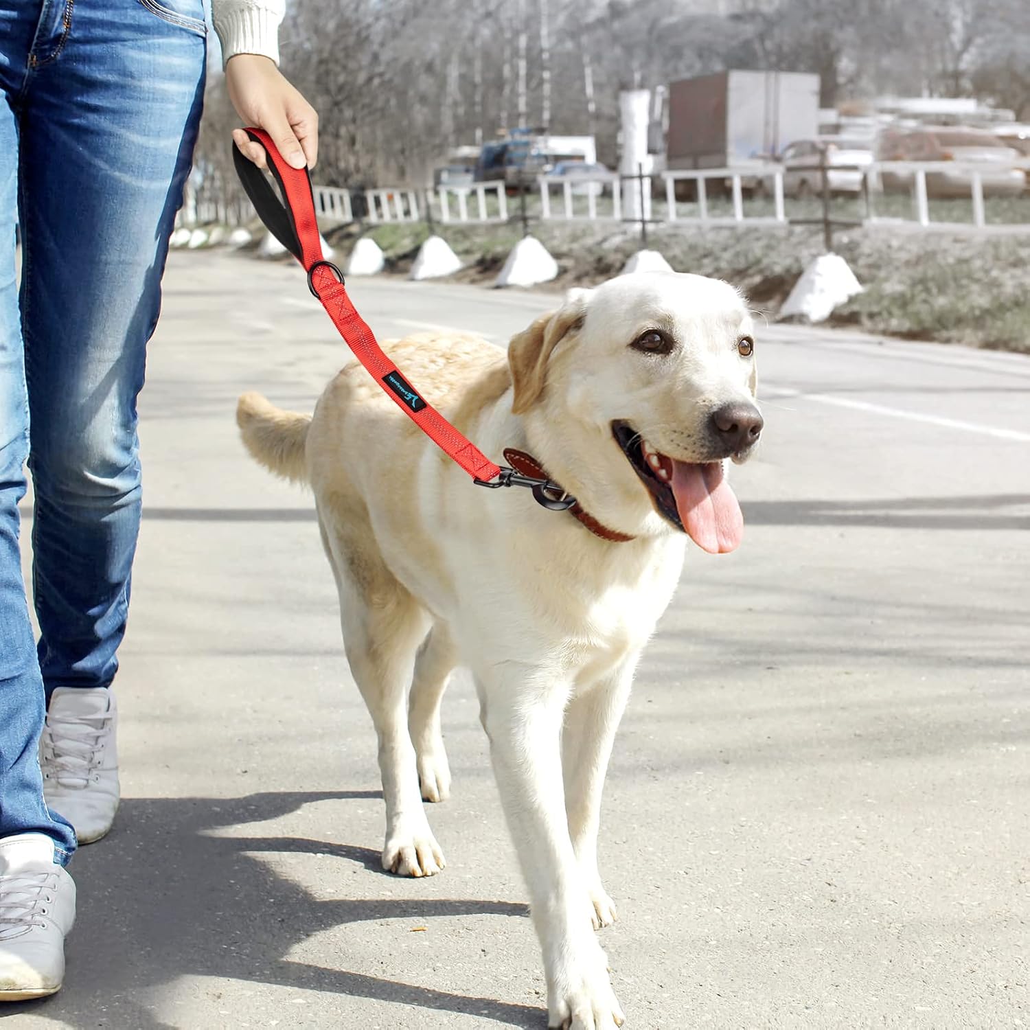 Short Dog Leash 18in Padded Handle Dog Lead with 3 Reflective Thread for Large - Image 6