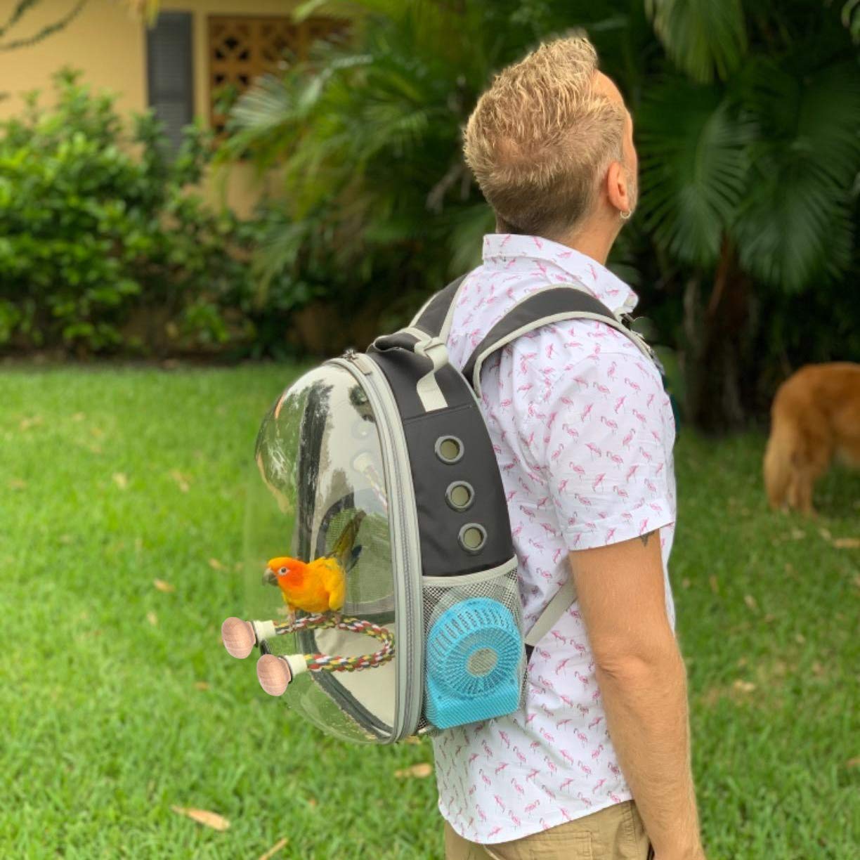 Bird Backpack Carrier Cage, Bird Travel Backpack with Stainless Steel Tray Bird - Image 6