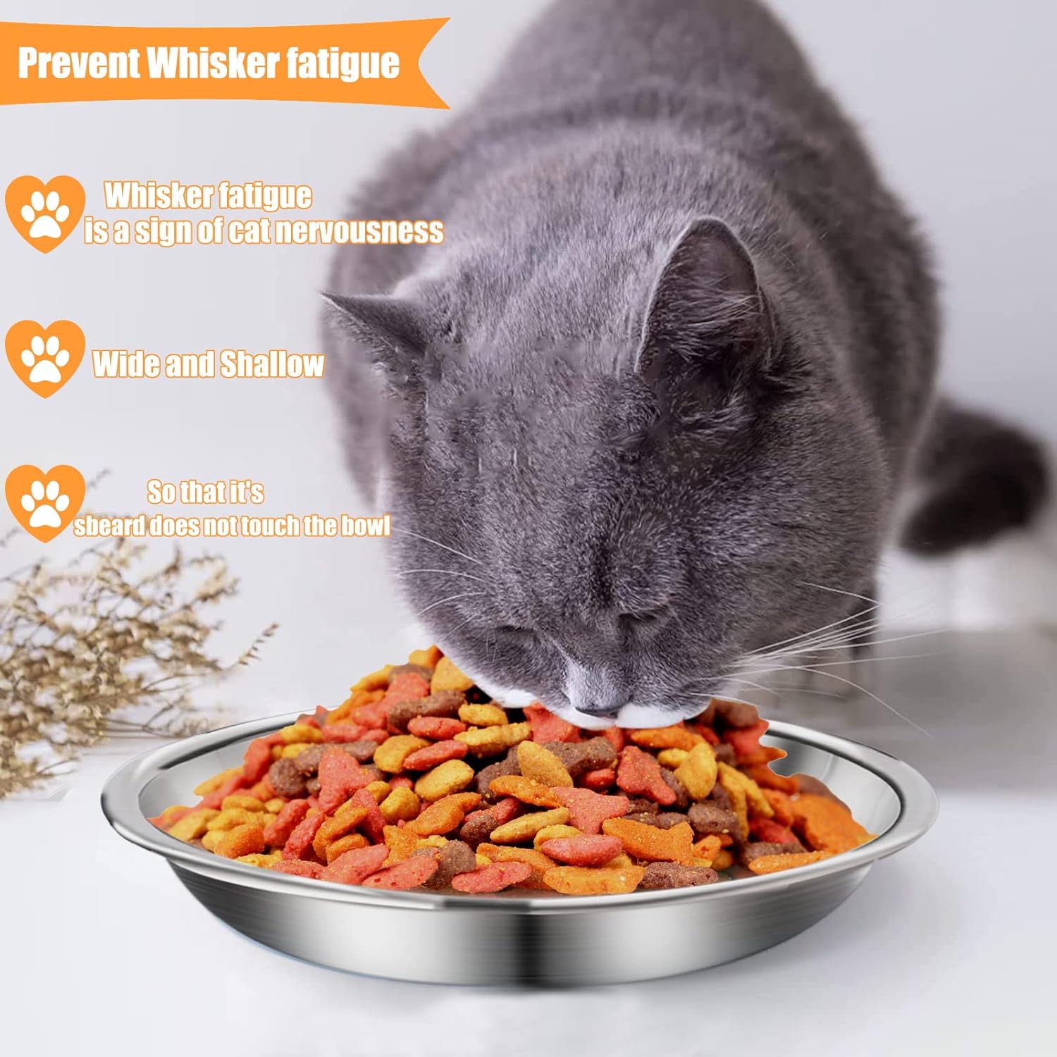 12 Pcs Stainless Steel Cat Bowls Shallow Food Metal and Water Dish - Image 5