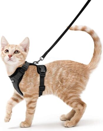 Cat Harness and Leash for Walking, Escape Proof Soft Adjustable Vest Harnesses