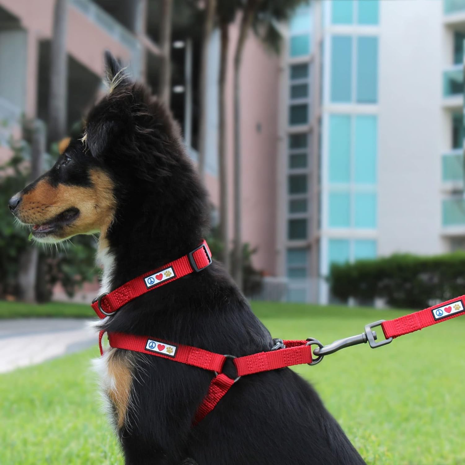 Solid Color Step in Dog Harness Or Vest Harness Dog Training Walking - Image 2