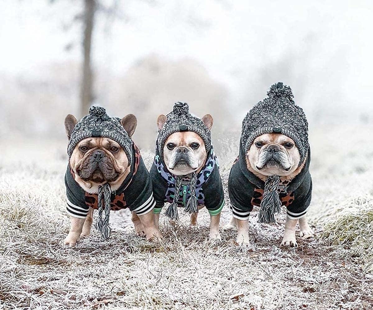 Winter Soft Dog Hats, Warm Pet Dog Knitted Hat, Windproof Knitting French - Image 6