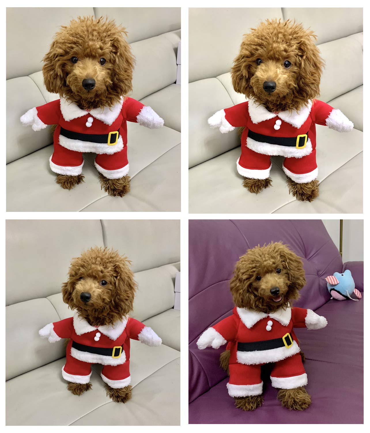 Pet Christmas Costumes Dog Cat Christmas Santa Suit Pet Cosplay - Image 7