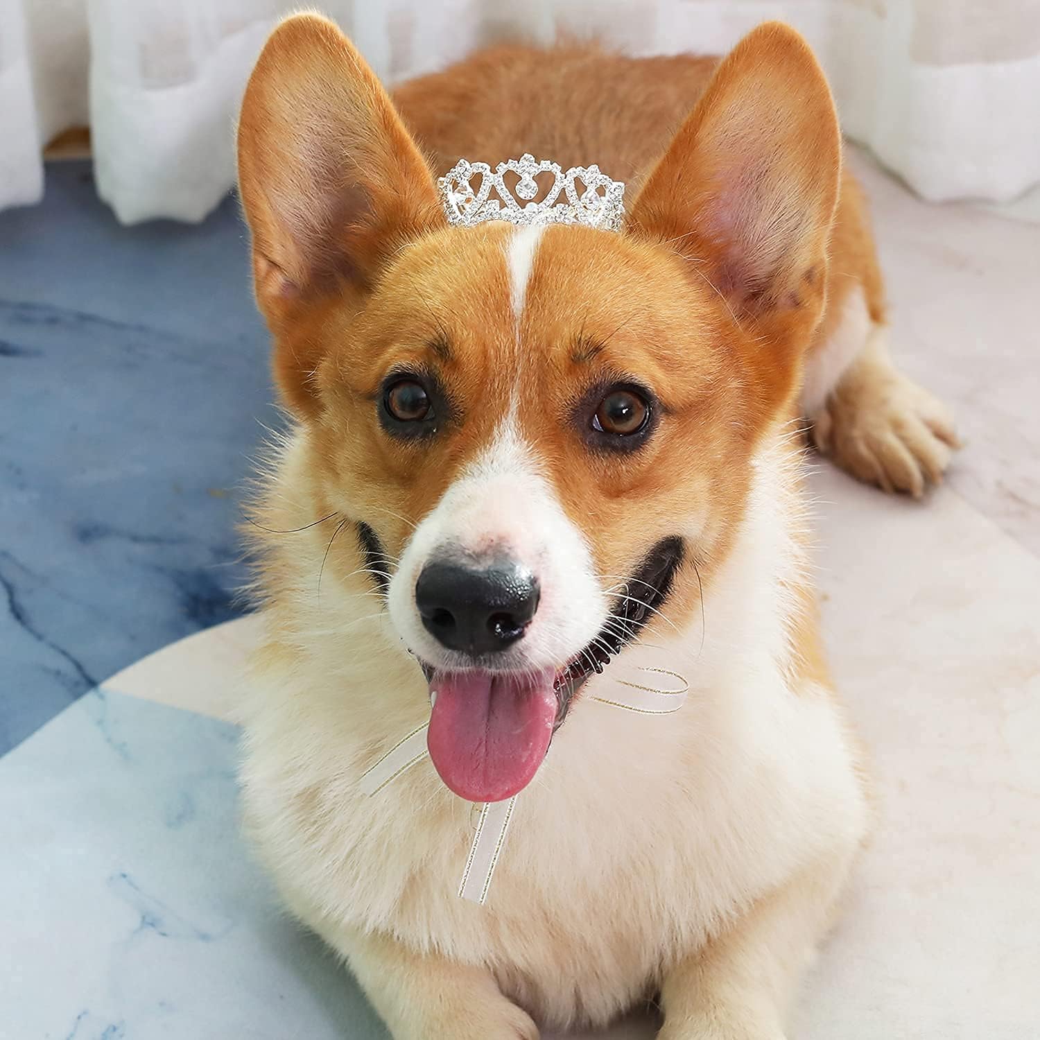 Pet Series Royal Rhinestone Full Round Dog/Cat Crown for Costume Small Dog Hair - Image 2