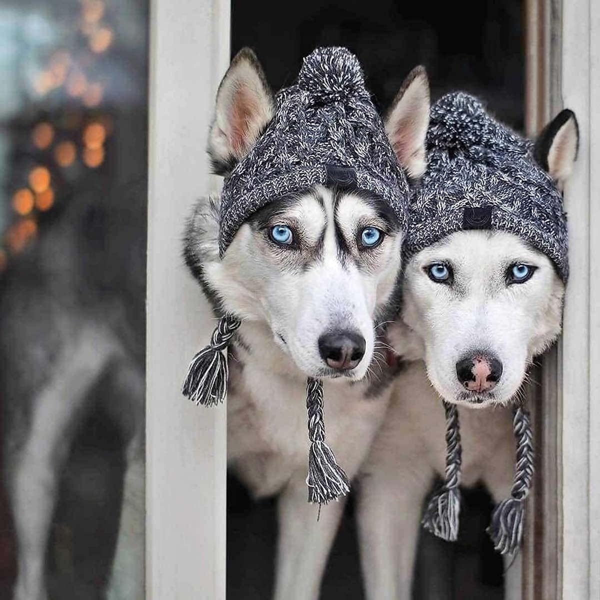 Winter Soft Dog Hats, Warm Pet Dog Knitted Hat, Windproof Knitting French - Image 5