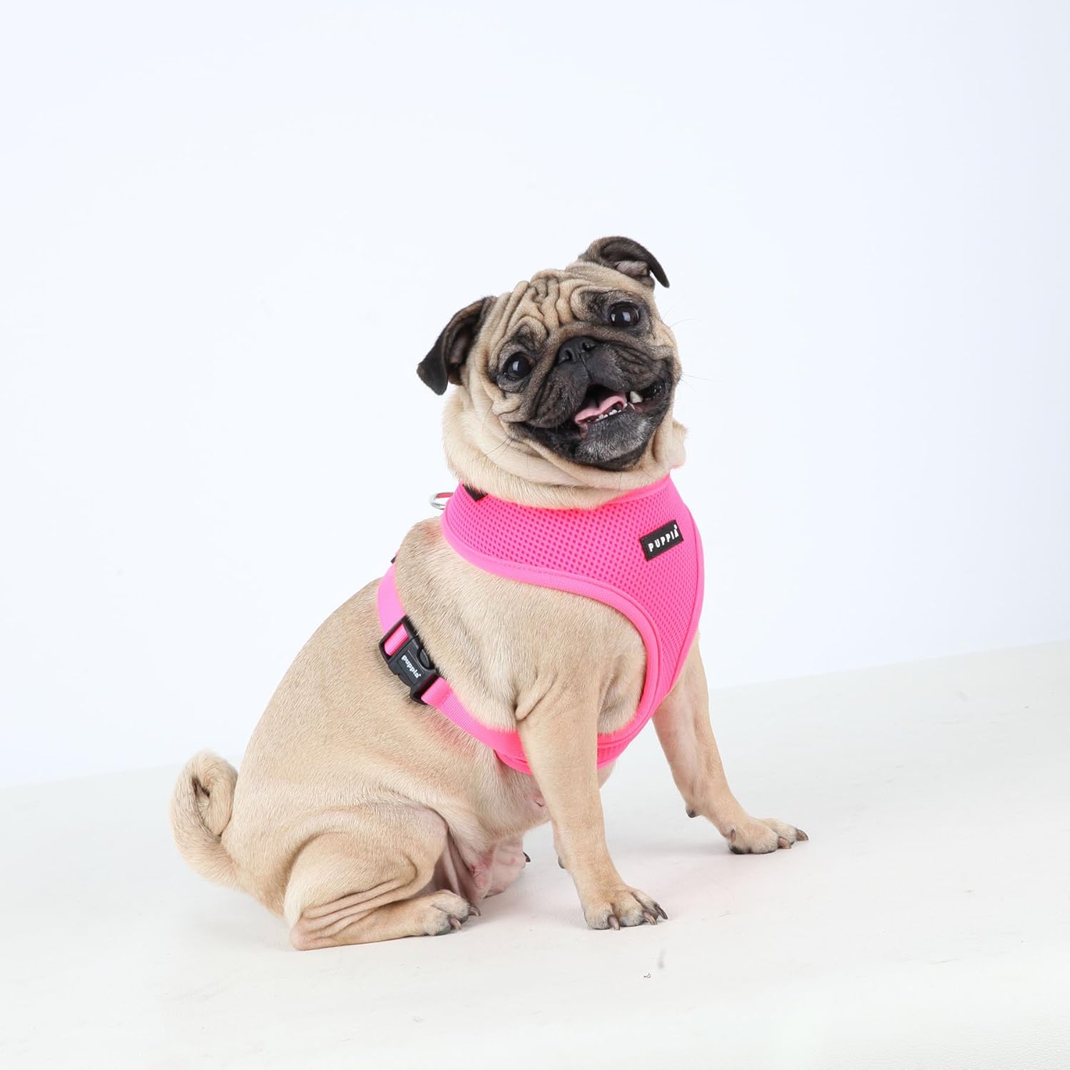 Neon Dog Harness, Orange Small S (Pack of 1) Orange - Image 4