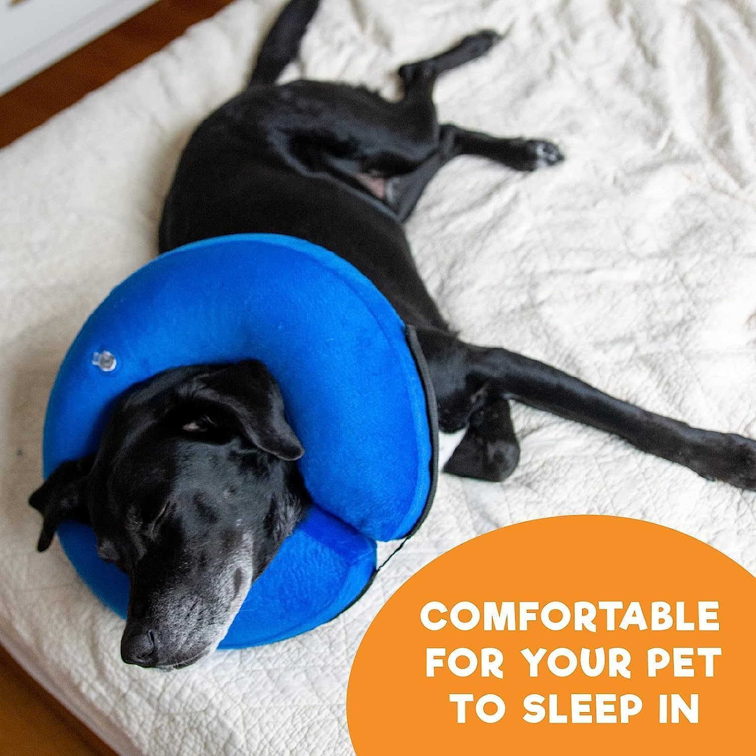 Soft Dog Cone Collar for Large Medium Small Dogs and Cats After Surgery - Image 4