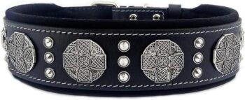 genuine leather dog collar, Large breeds, cane corso, Rottweiler, Boxer