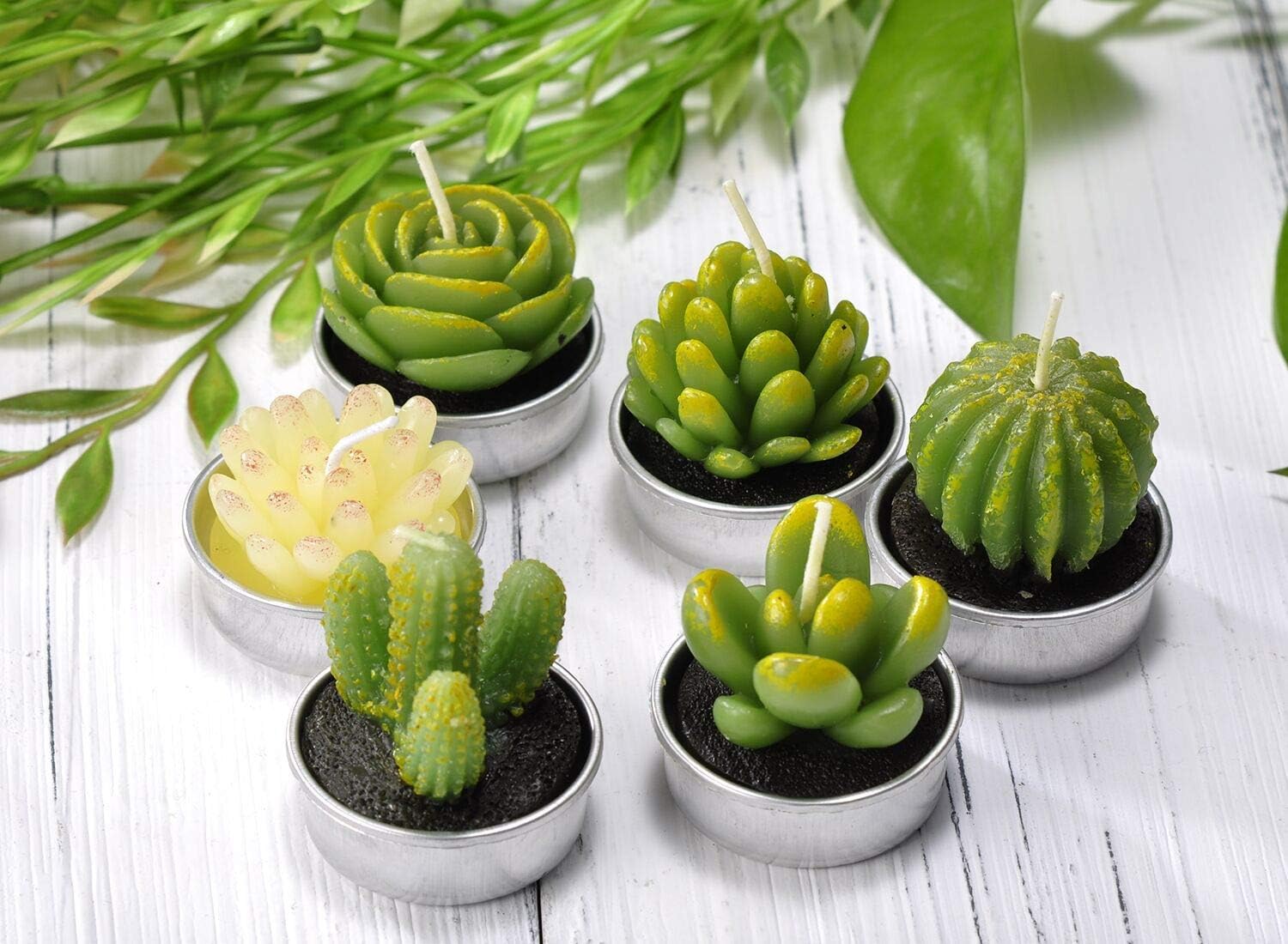 Cactus Candles Tealight Smokeless Handmade Cute Mini Plants Gift Set Plant 12 - Image 4