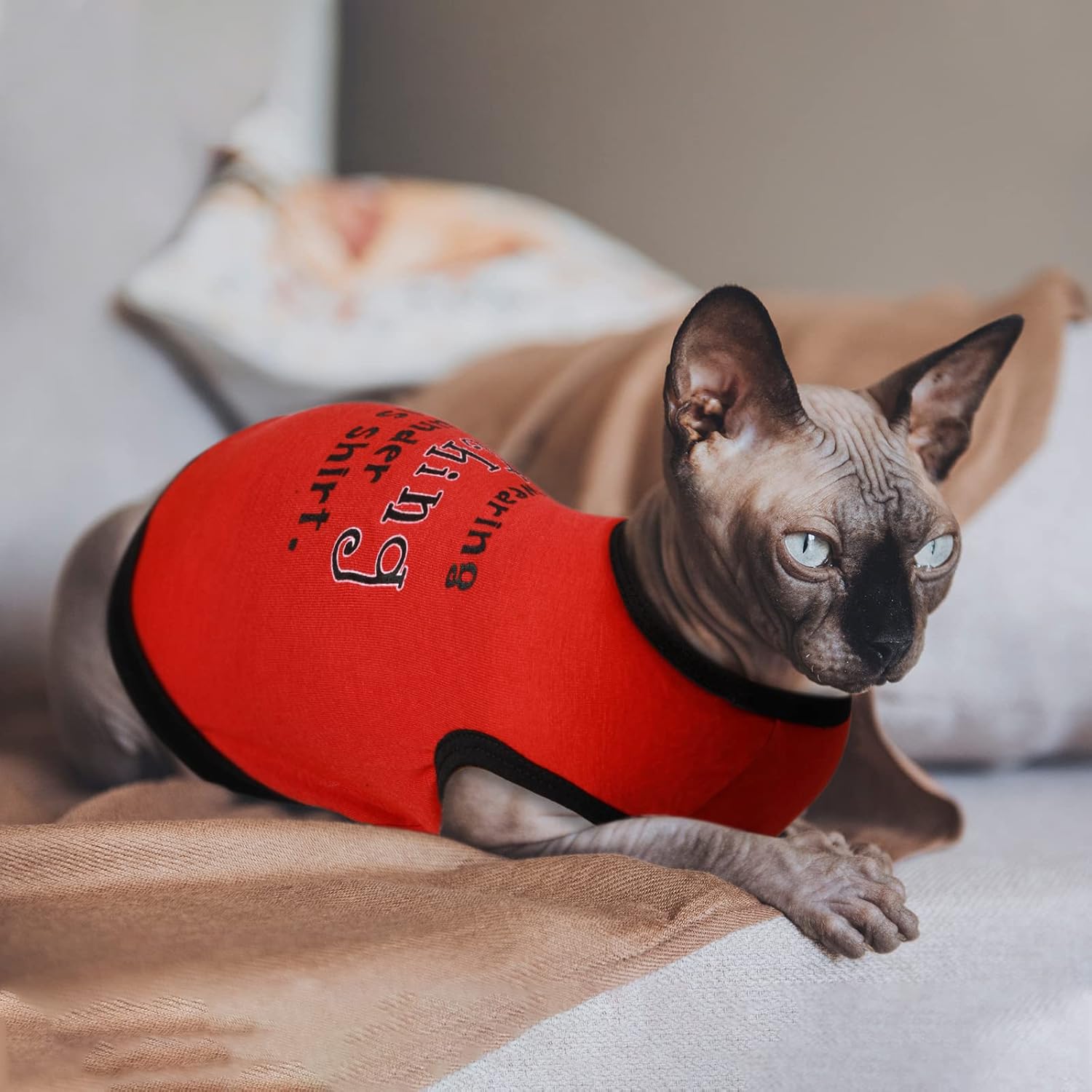 8 Pieces Dog Shirts Boy Funny Printed Puppy Shirts Summer Male Soft Dog Clothes - Image 7