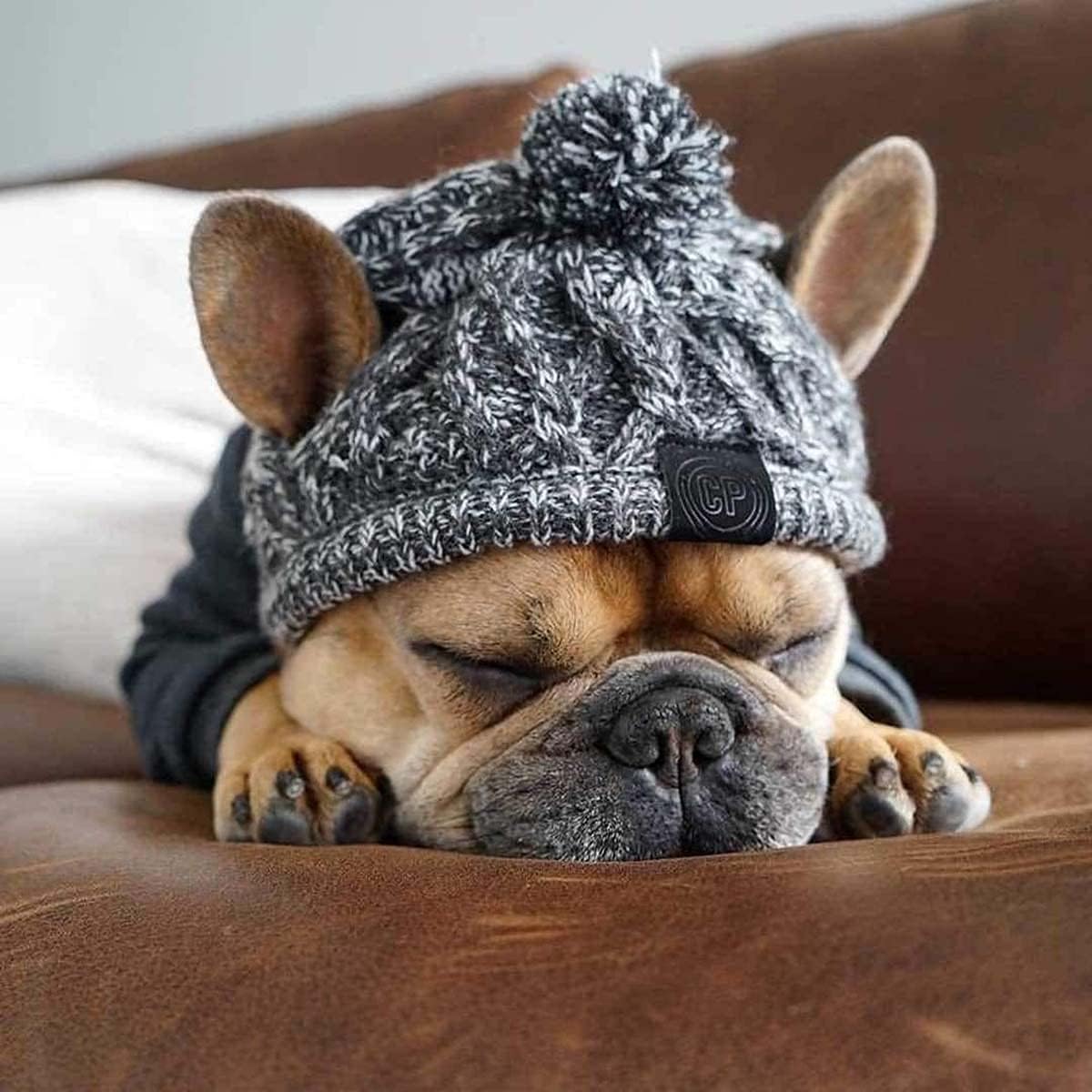 Winter Soft Dog Hats, Warm Pet Dog Knitted Hat, Windproof Knitting French - Image 2