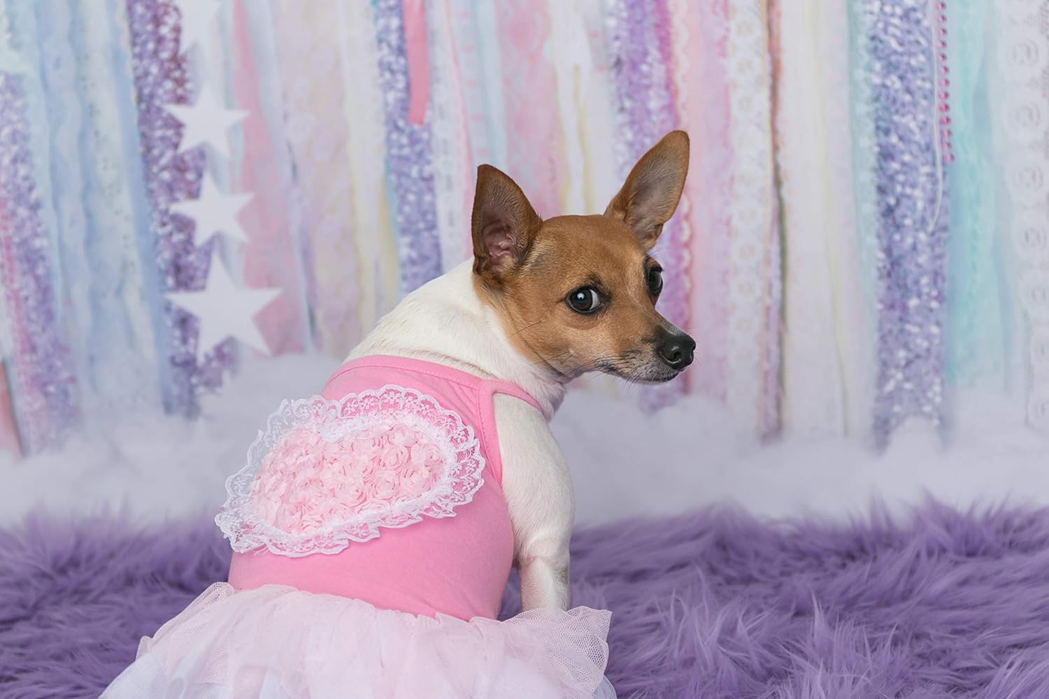 Parisian Pet Dog Clothes Cat Apparel Outfits Tutu Heart, Pink, L - Image 3