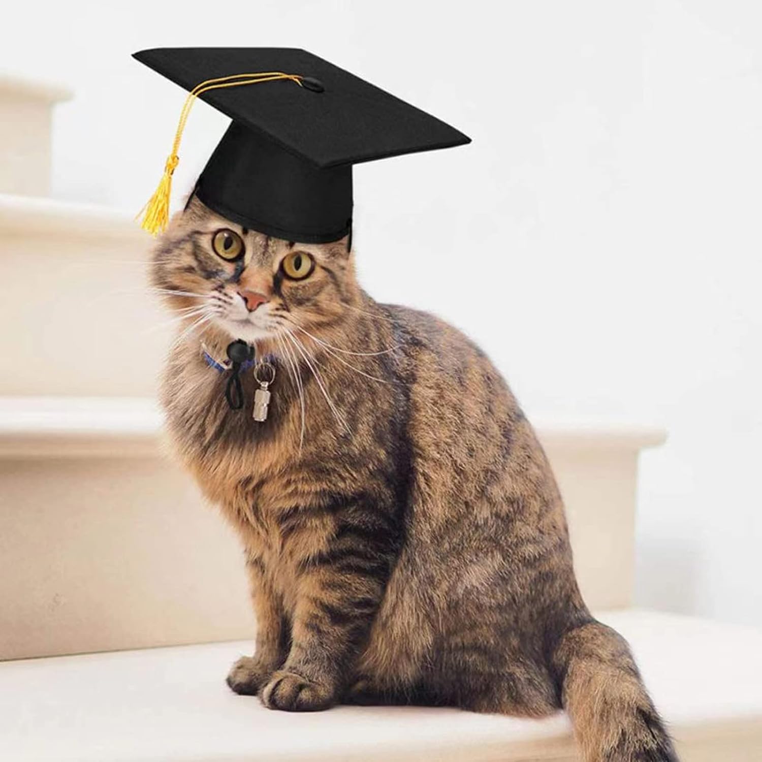 Pet Graduation Hat Dog Cat Pet Costumes Pet Doctor Cap with Yellow Tassel - Image 2