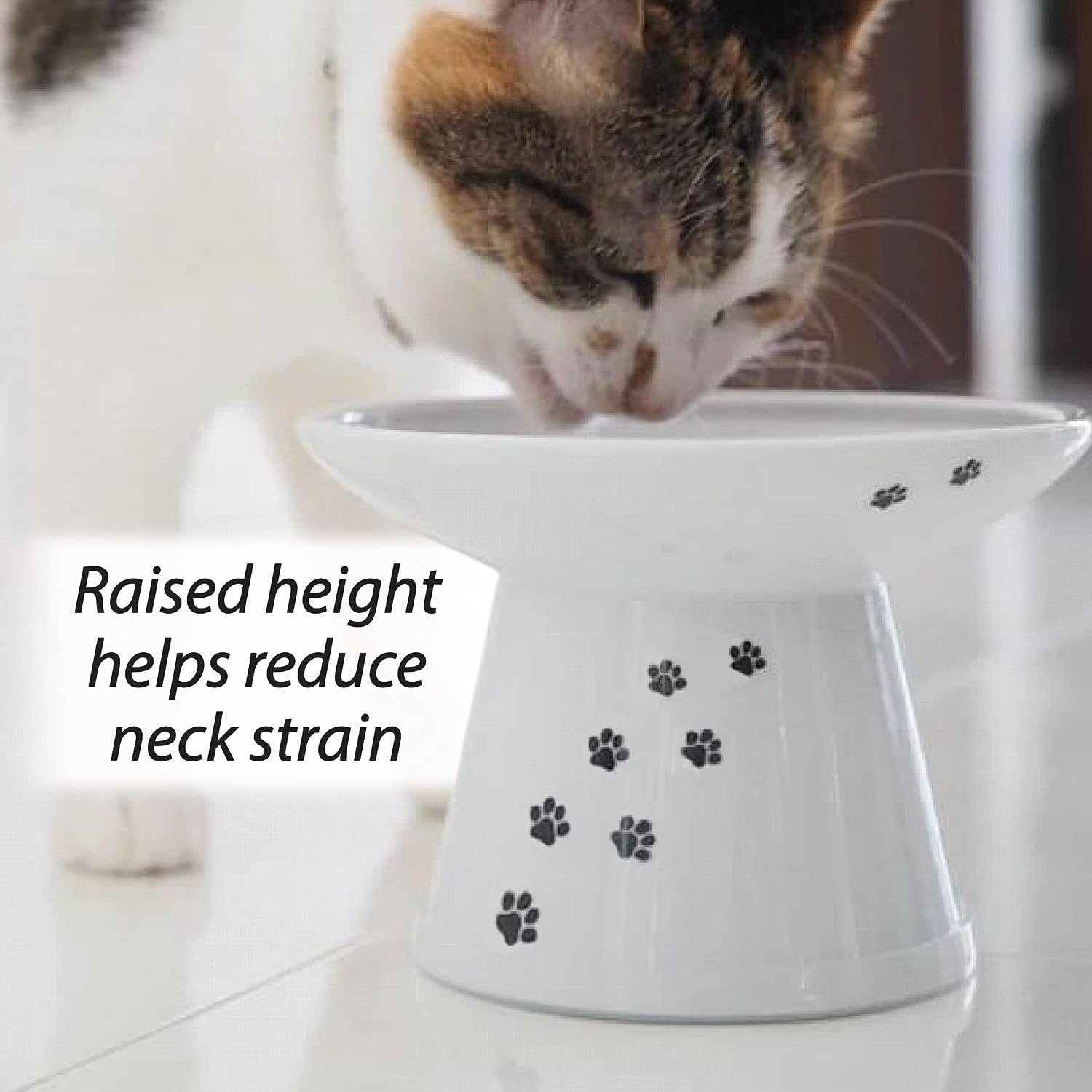 Raised Cat Food Bowl, Stress Free, Backflow Prevention, Dishwasher and Microwave - Image 8