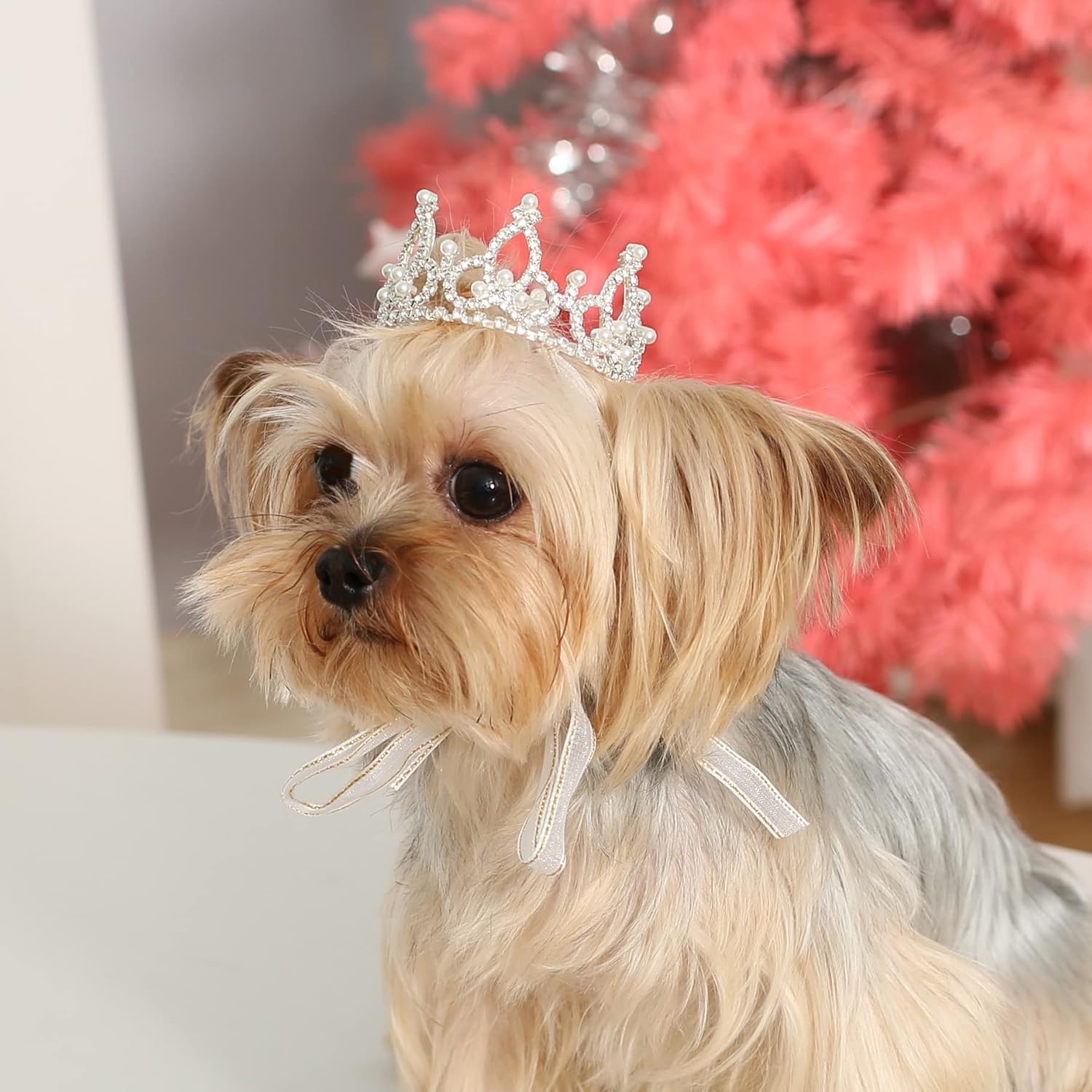 Silver Plated Royal Rhinestone Pearl Full Round Dog/Cat Crown