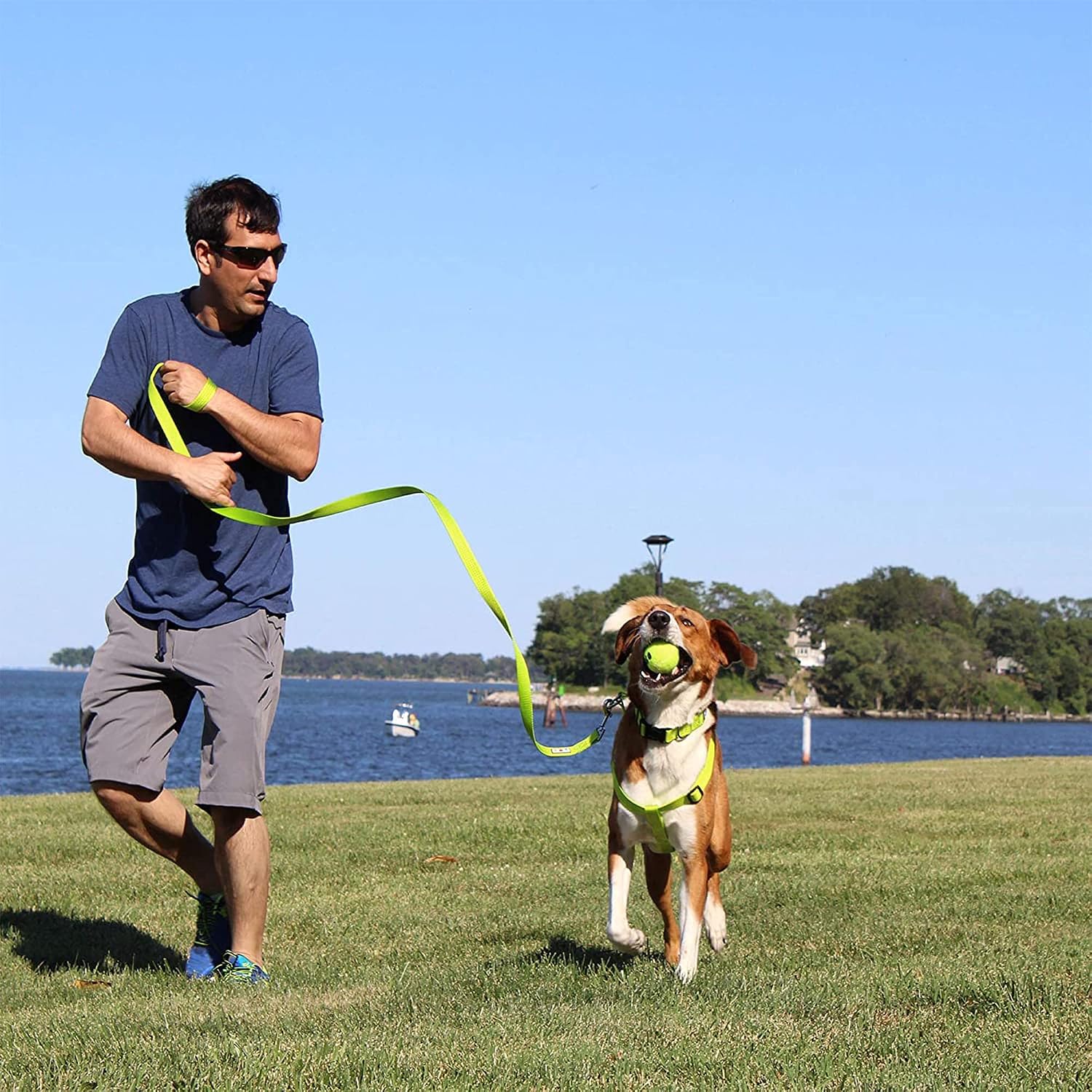 Solid Color Step in Dog Harness Or Vest Harness Dog Training Walking - Image 9