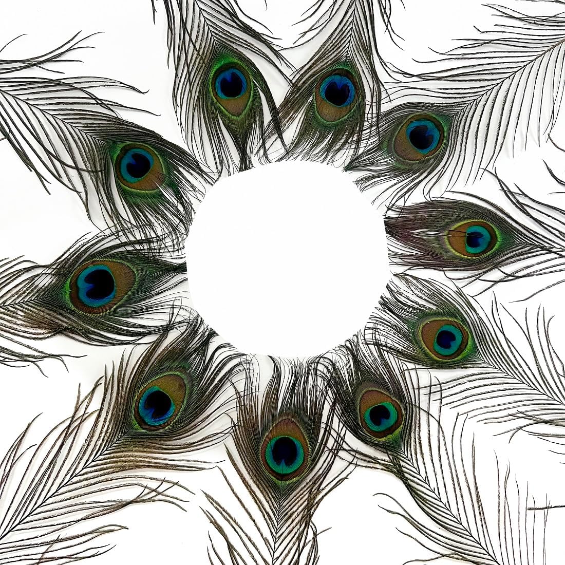 100pcs Natural Peacock Feathers with Eye Peacock Tail Feathers (25-30cm) - Image 3