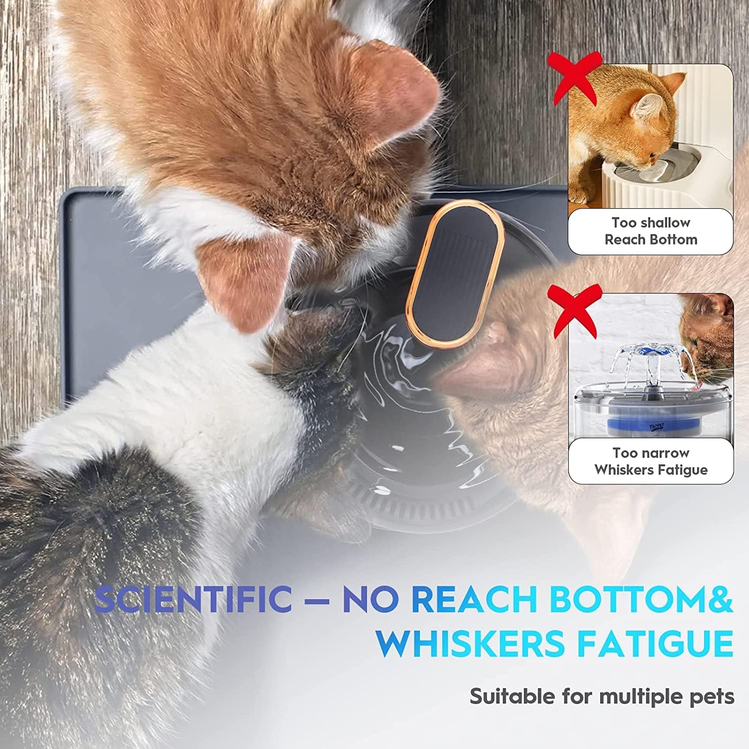 Cat Water Fountain Pet Fountain Dog Water Dispenser: Easy to Clean - Image 5