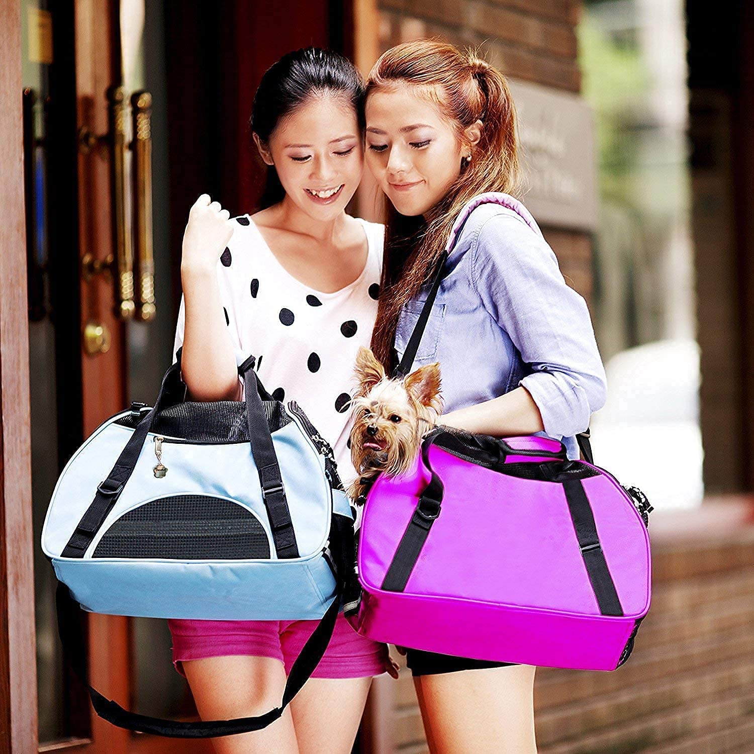 Cat Carrier,Soft-Sided Pet Travel Carrier for Small Cats, Dogs Puppy - Image 6