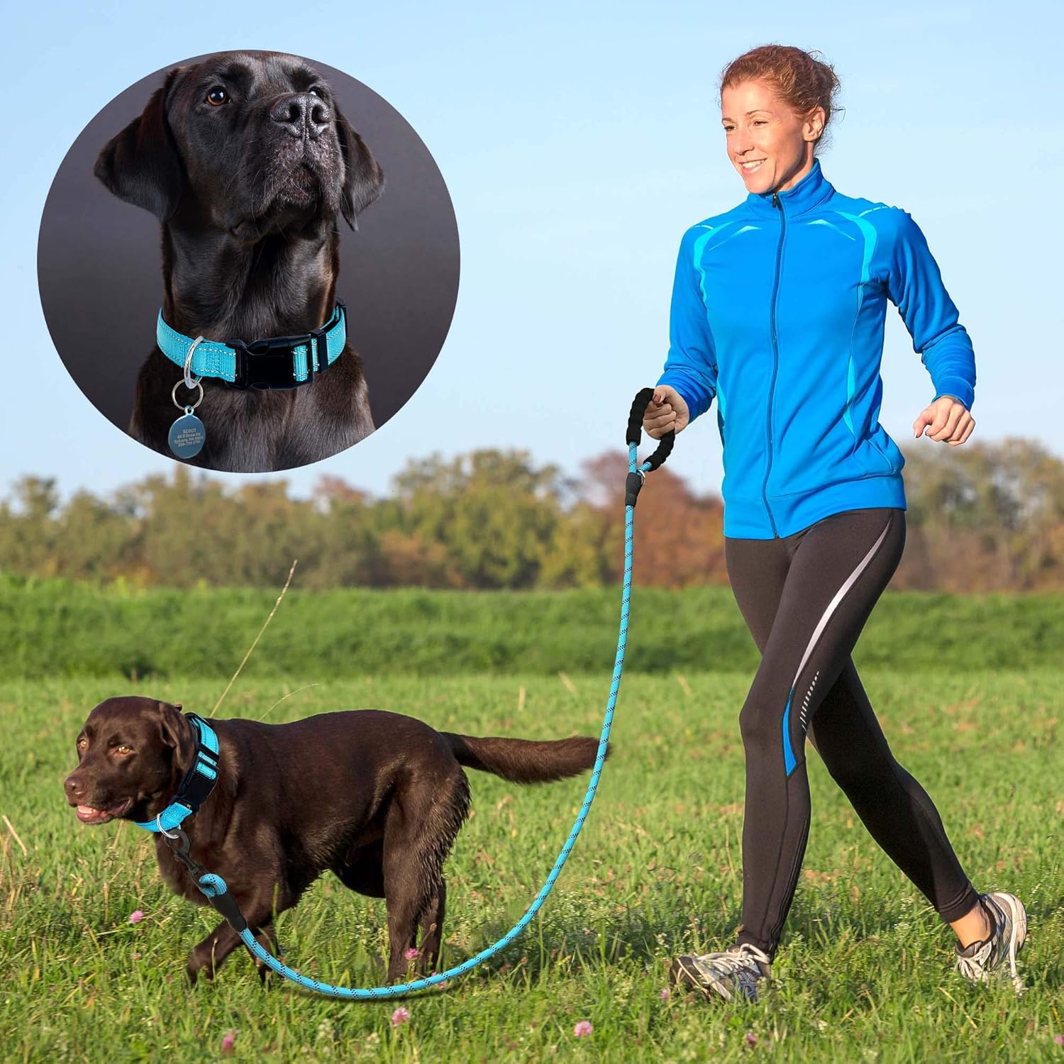 Reflective Dog Collar Padded with Soft Neoprene Breathable Adjustable Nylon Dog - Image 5
