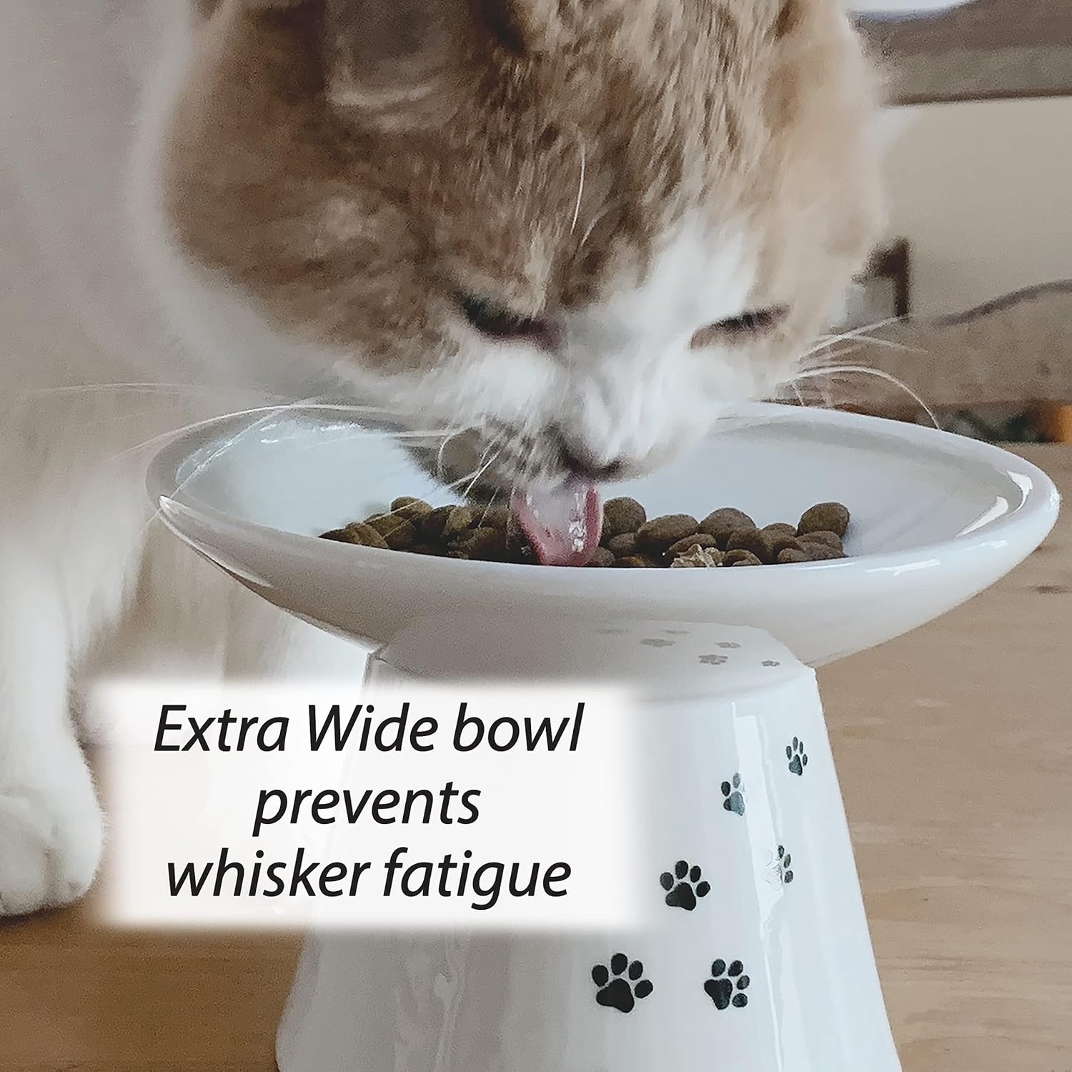 Raised Cat Food Bowl, Stress Free, Backflow Prevention, Dishwasher and Microwave - Image 7