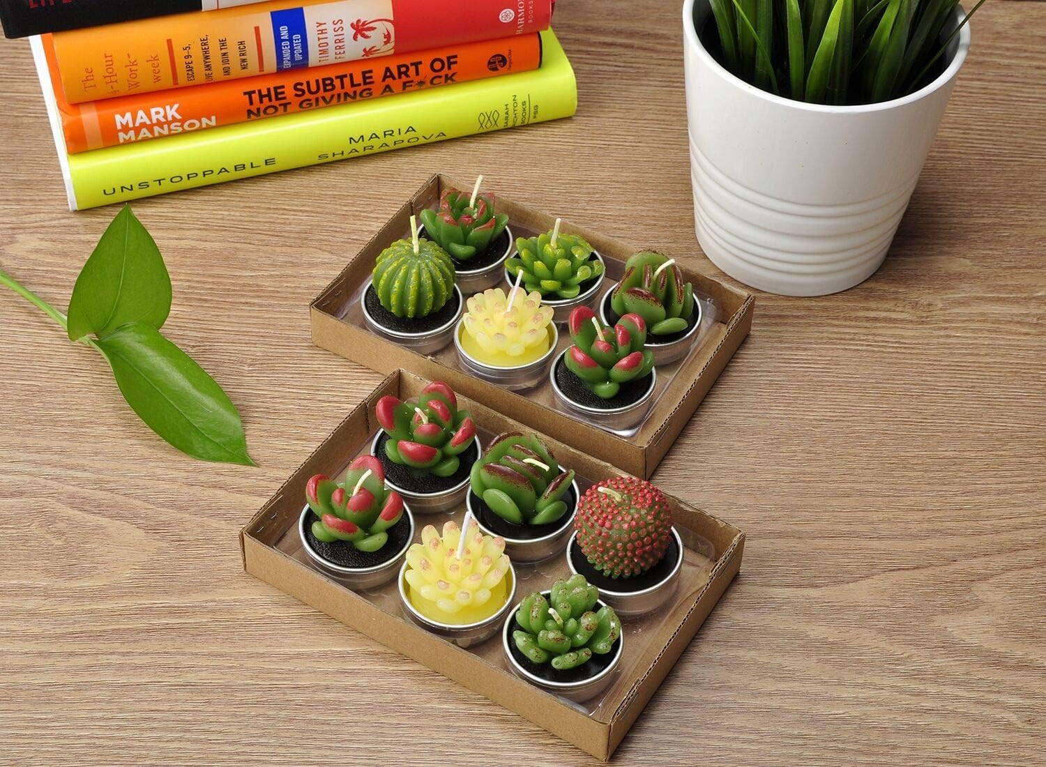 Cactus Candles Tealight Smokeless Handmade Cute Mini Plants Gift Set Plant 12 - Image 3