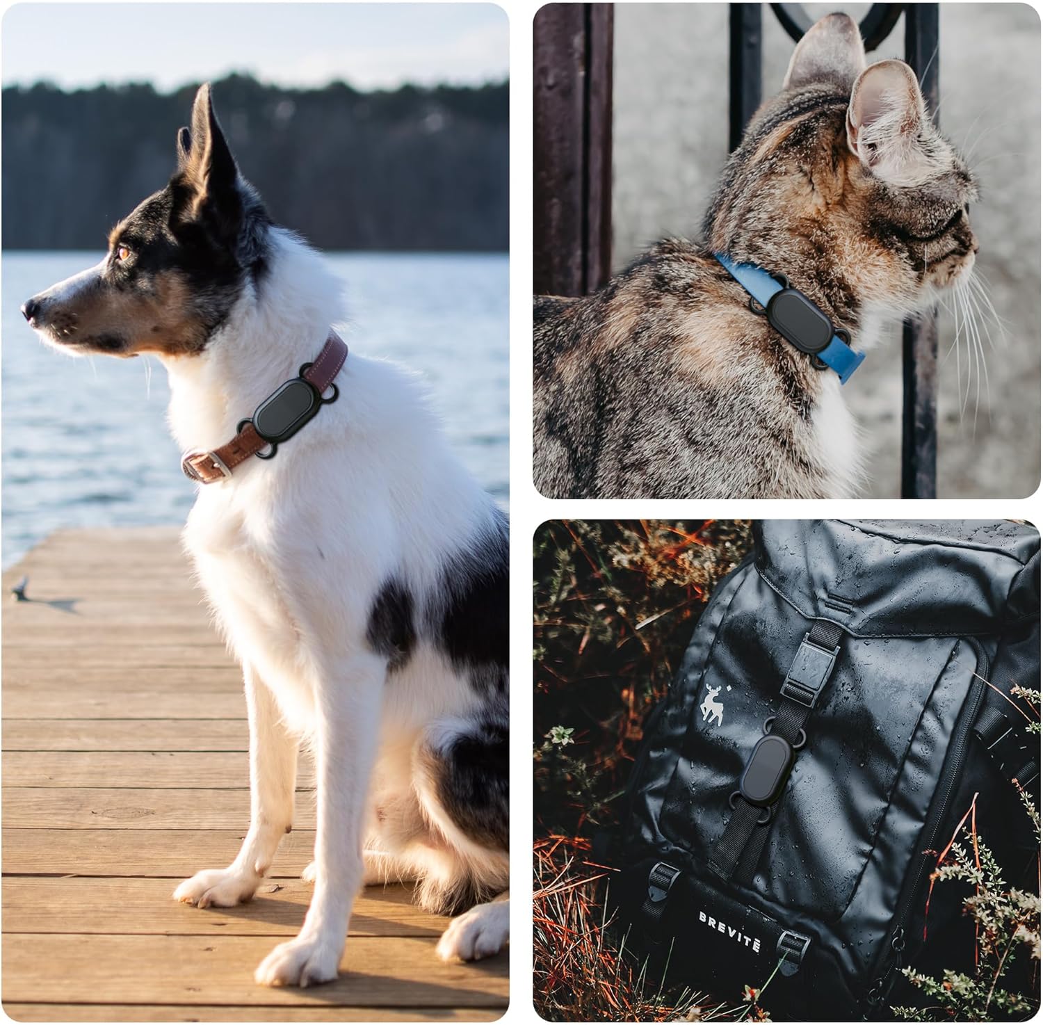 Dog Collar Holder(2 Pack) for Galaxy Smarttag2, Waterproof Silicone Case for Pet - Image 7