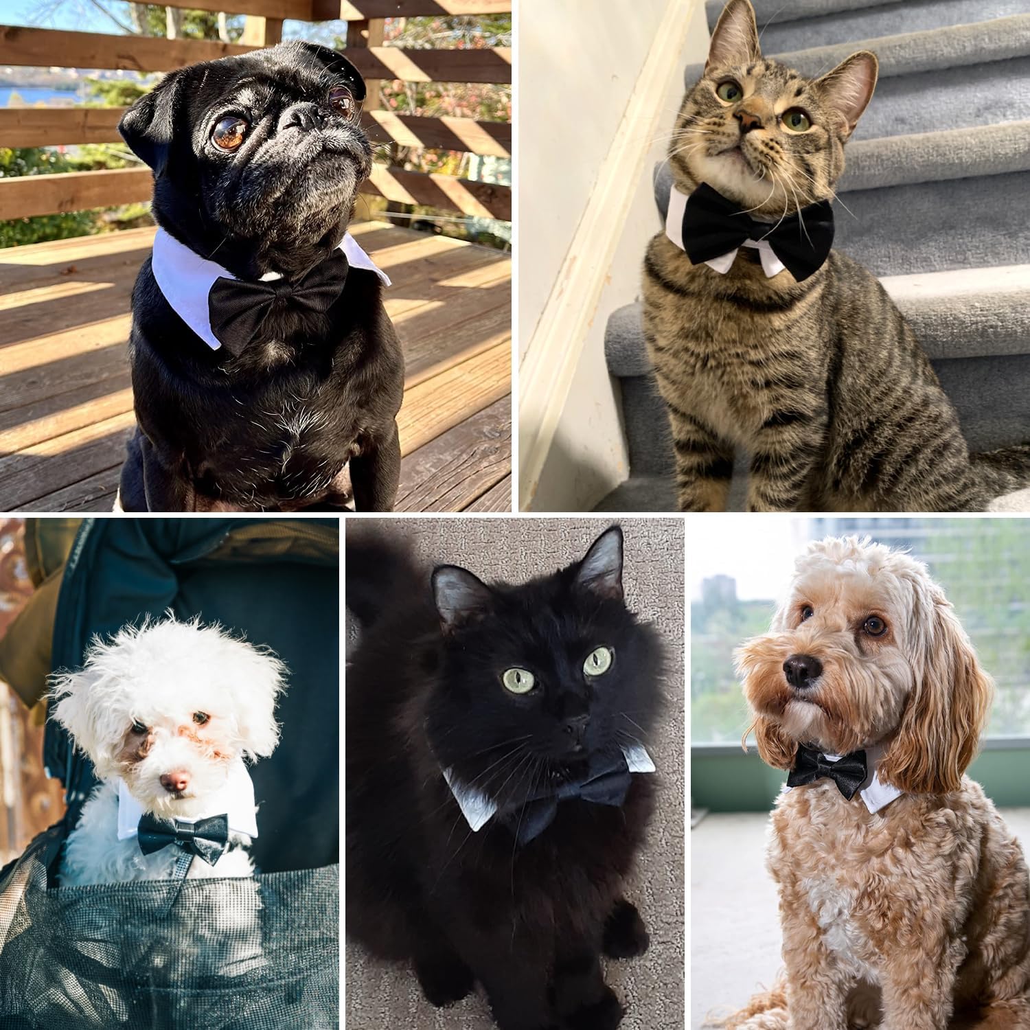 Bow Tie Pets Dog Cat Adjustable Formal Collar Neck Tie Tuxedo (Black-S) - Image 6