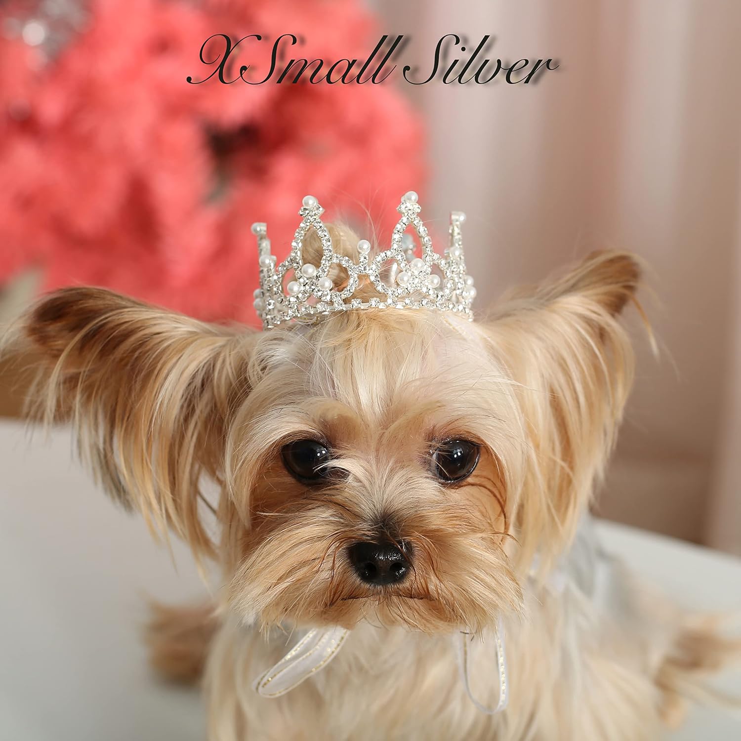Silver Plated Royal Rhinestone Pearl Full Round Dog/Cat Crown - Image 2