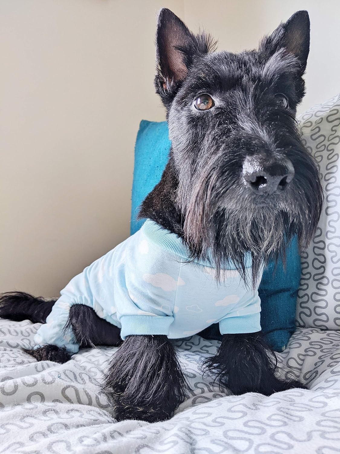 Parisian Pet Dog Pajamas - Cute Cat/Dog Onesie, Size XL - Blue Cloud - Ideal - Image 6