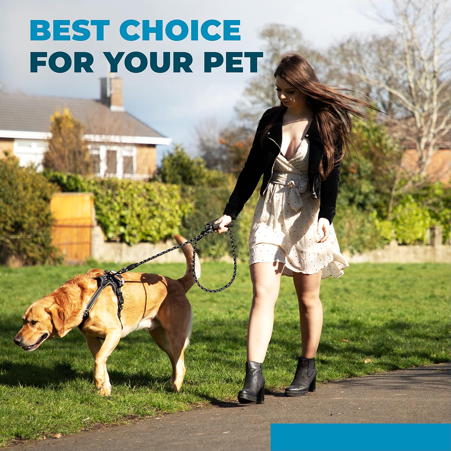 6 ft Dog Leash. 6 feet - Image 2
