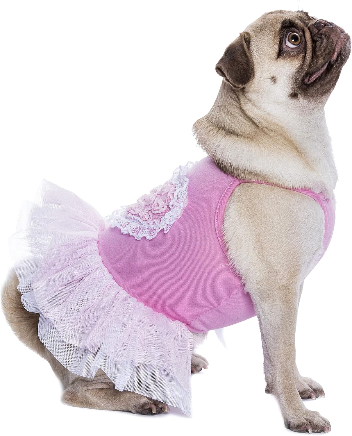 Parisian Pet Dog Clothes Cat Apparel Outfits Tutu Heart, Pink, L - Image 2