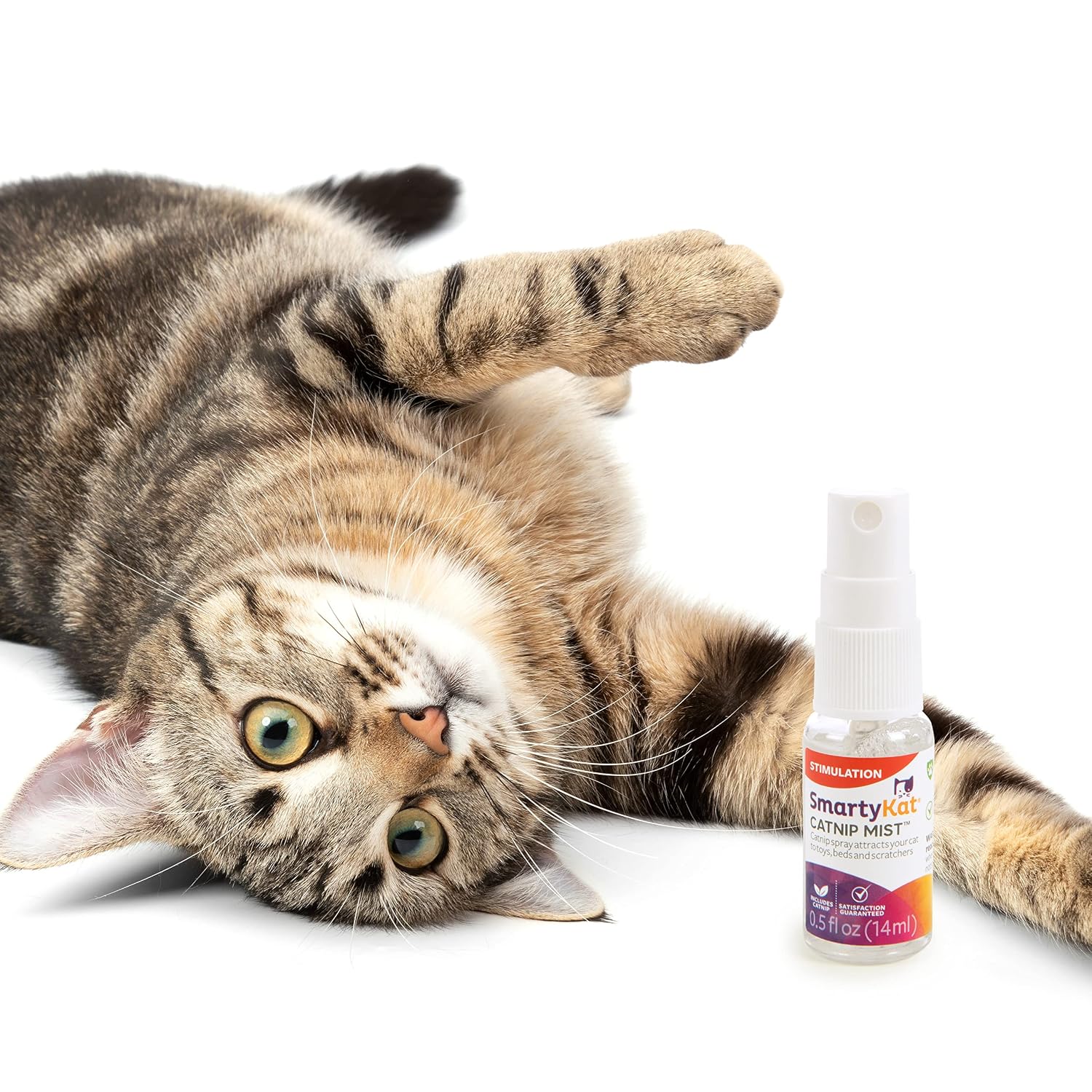 Catnip Mist Infused Spray for Cats & Kittens, Attractant & Stimulant - Image 4